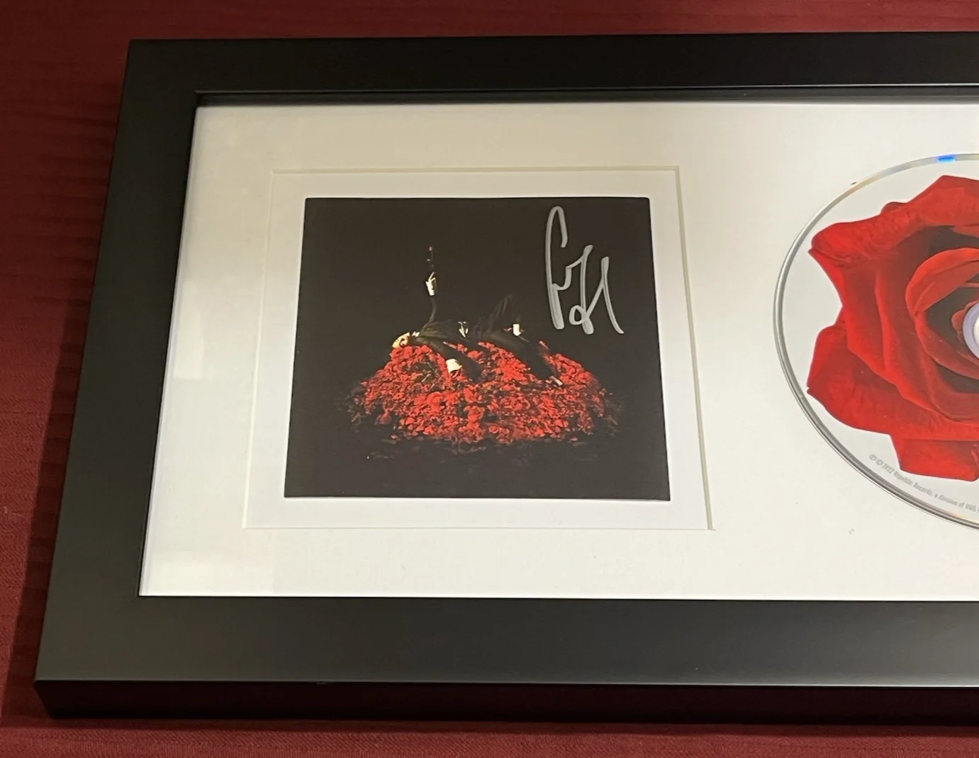 CONAN GRAY SIGNED & FRAMED SUPERACHE AWESOME CD DISPLAY AUTOGRAPH COA KID KROW B, image 3