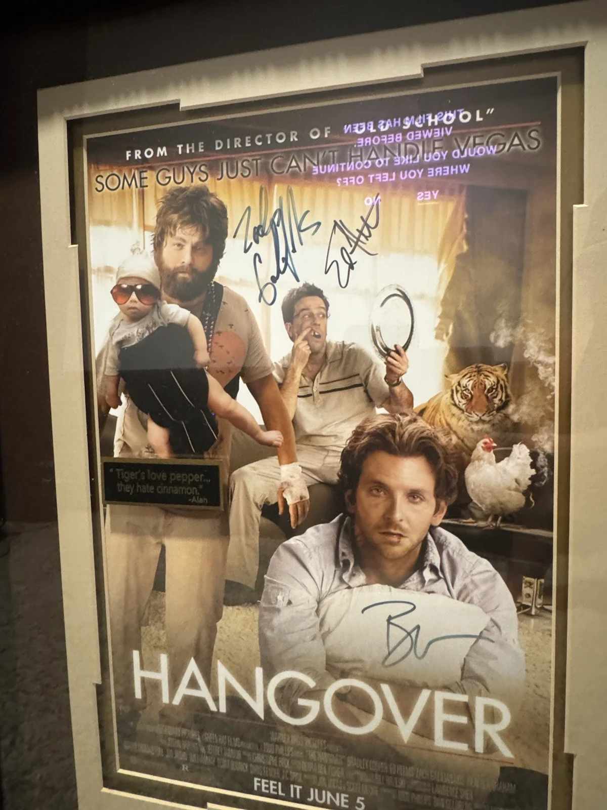 Hangover Movie Signed Cast Framed Picture Millionaire Gallery Authenticated, изображение 2