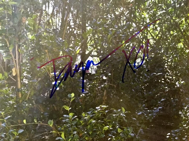 DAYA SIGNED AUTOGRAPHED 11x14 PHOTO HIDE AWAY VERY RARE PSA/DNA, image 2