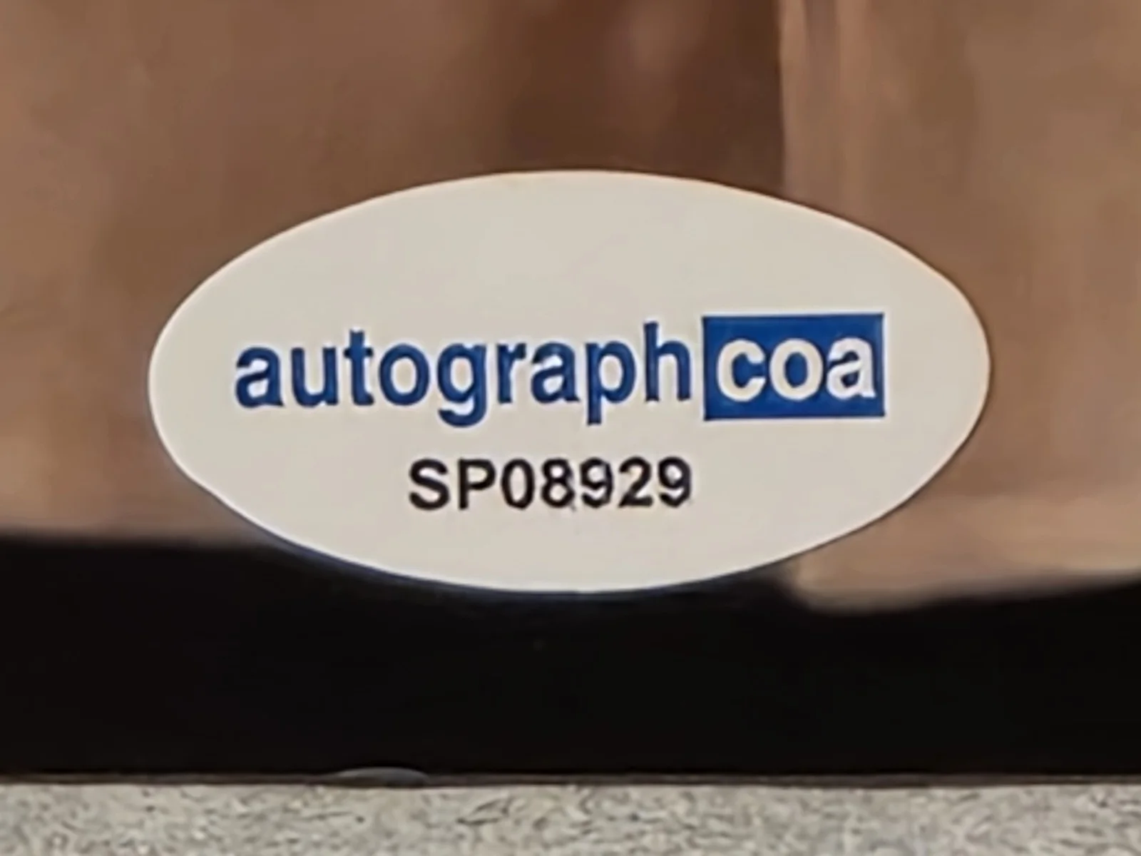 Stephen Tobolowsky — Signed 8x10 Photo Groundhog Day Stephen Tobolowsky (ACOA), image 5