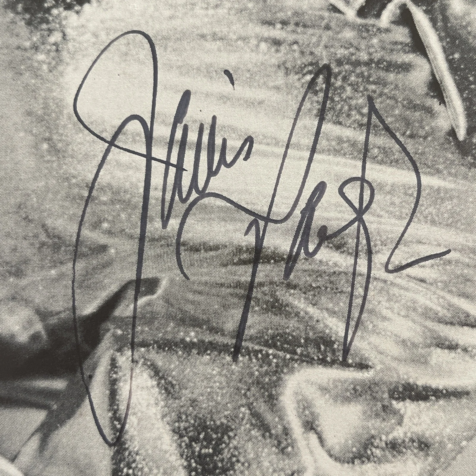 JANIS PAIGE Golden Age Of Hollywood: Hand Signed Celebrity Photo 8.5 x 11” / KSK, изображение 3