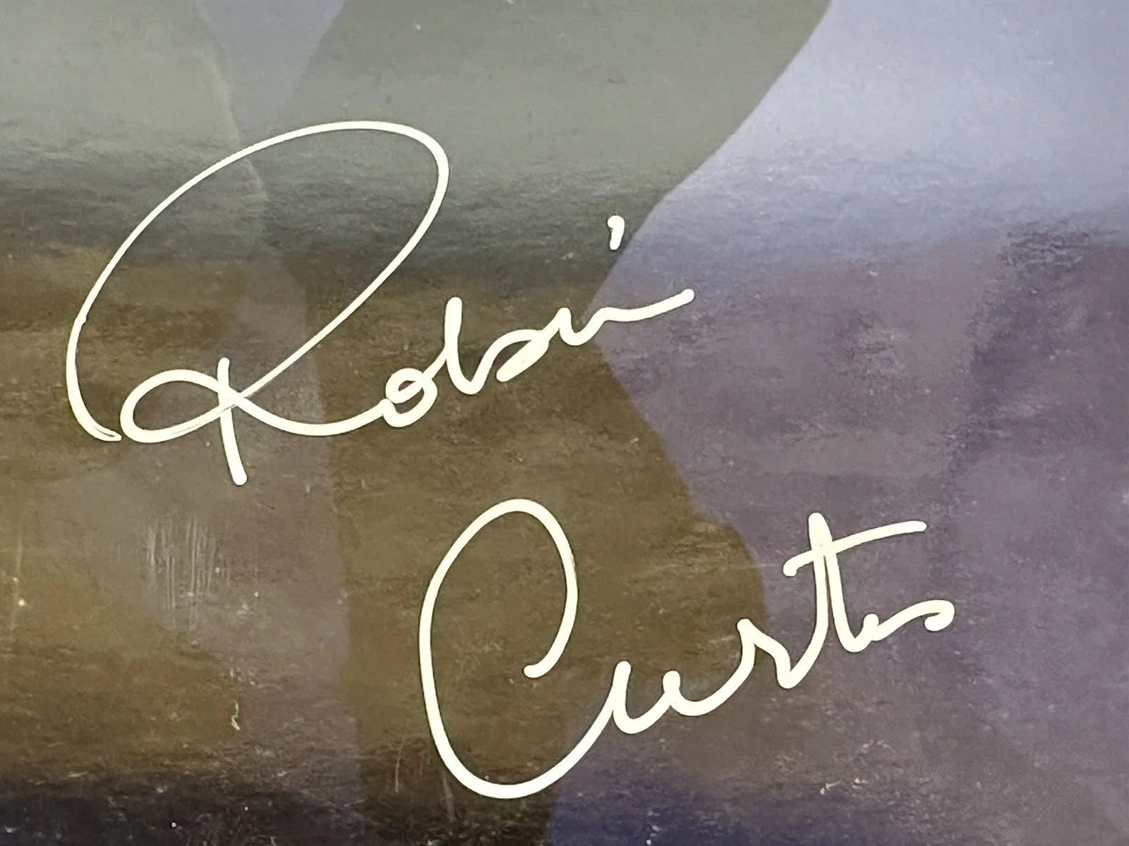 Star Trek TOS Autograph 8x10 Robin Curtis/Saavik, image 3