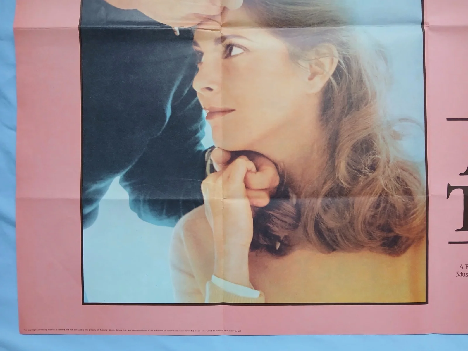 A WINDOW TO THE SKY (1975) original quad poster - Beau Bridges, Marilyn Hassett, изображение 4