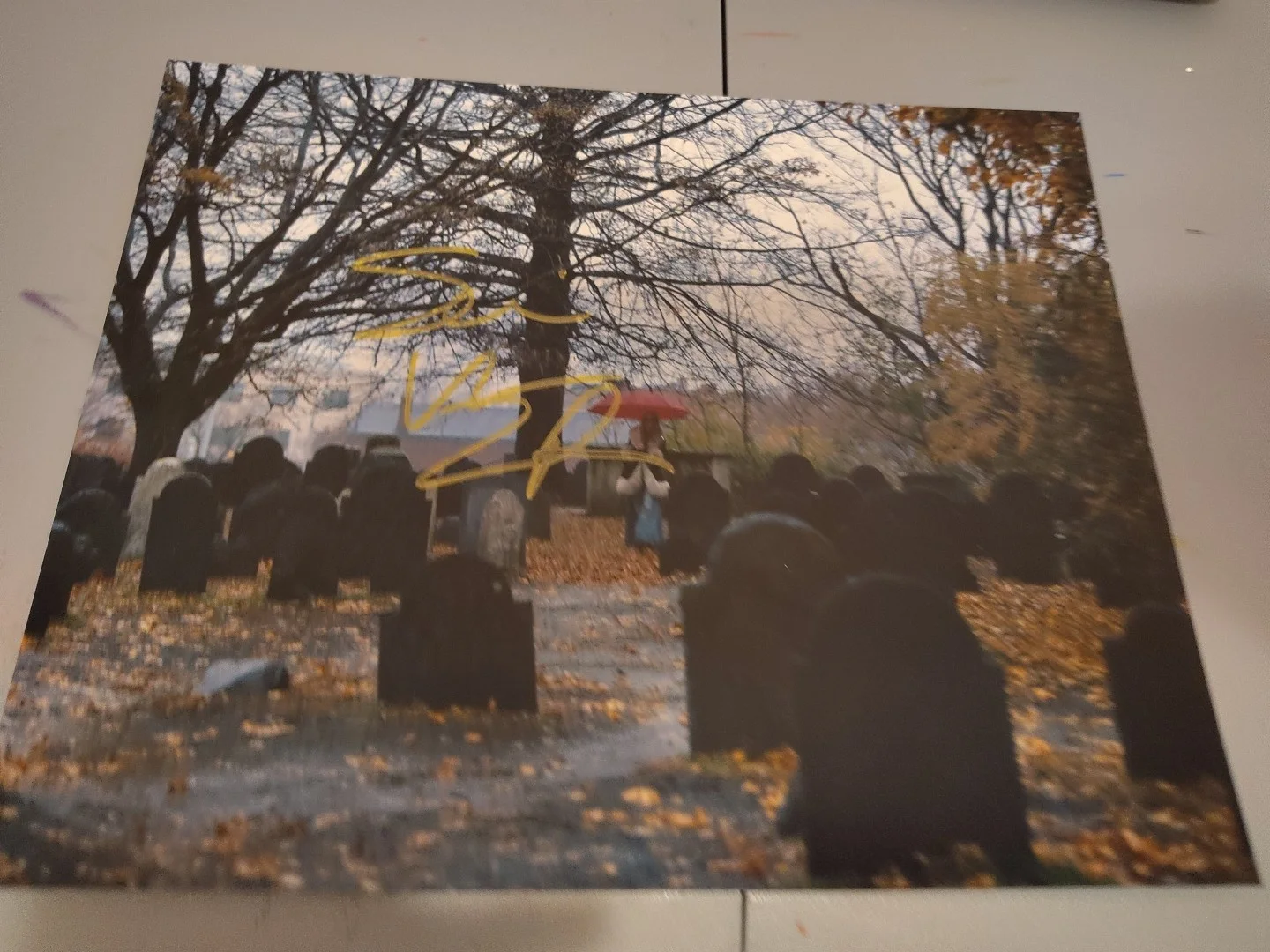 Sheri Zombie Signed Cemetery Lords Salem 8x10 MOON, image 2