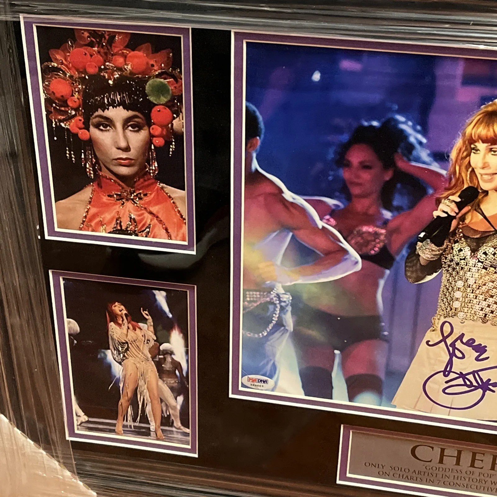 Cher 11x14 autograph Framed Collage COA PSA 19x30, image 4