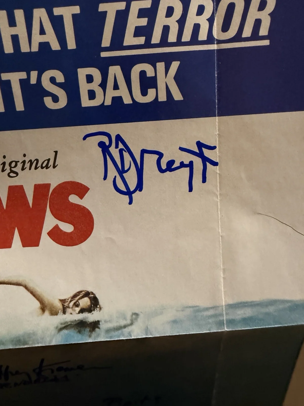 Topps Jaws 12x20 Movie Pin Up photo Poster Signed By 8 Richard Dreyfuss Shark, изображение 2