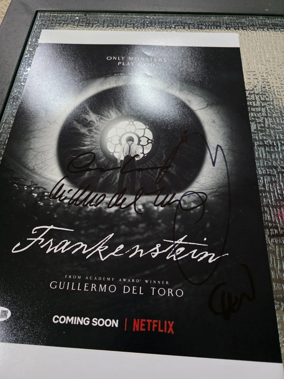 FRANKENSTEIN 12x18 cast signed JSA COA del toro, o issac, m goth, c waltz, image 2