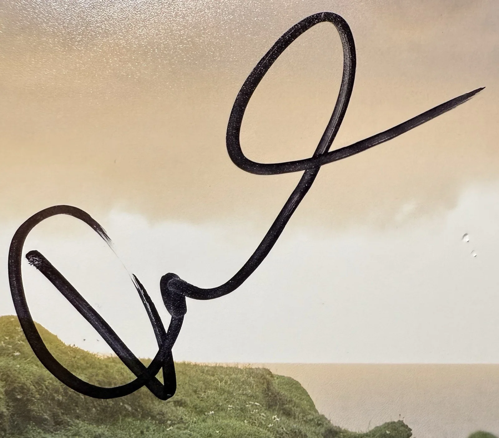 Kerry Condon — Kerry Condon Signed 8x10 The Banshees of Inisherin Siobhán Beckett COA, изображение 2