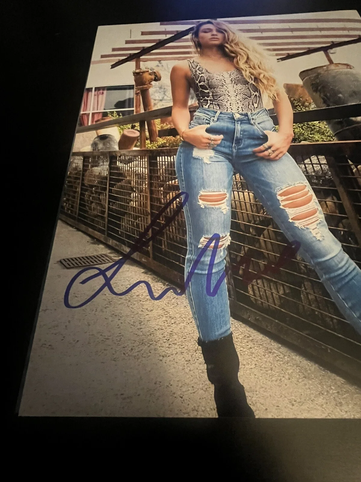 Sommer Ray HOT autographed Signed 11x14 photo SEXY MODEL Dj Beckett COA, изображение 2