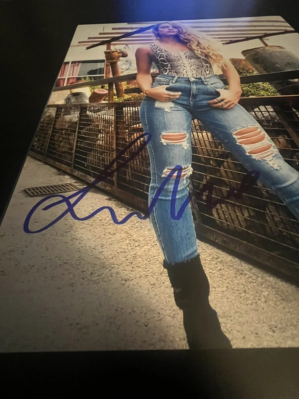 Sommer Ray HOT autographed Signed 11x14 photo SEXY MODEL Dj Beckett COA, изображение 3