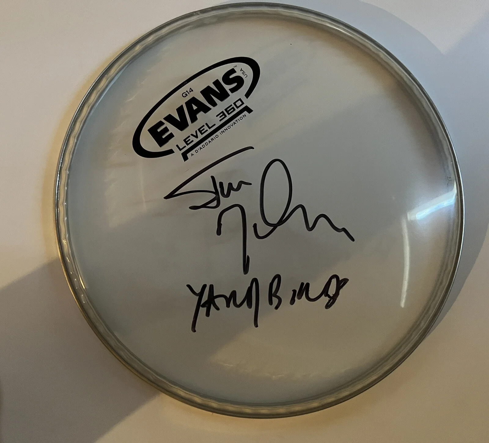 Signed Yardbirds Drummer Jim McCarty Autographed Drumhead, image 2
