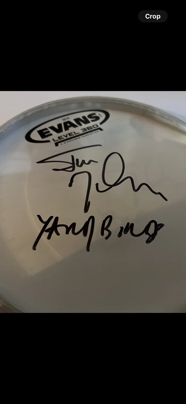 Signed Yardbirds Drummer Jim McCarty Autographed Drumhead, image 3