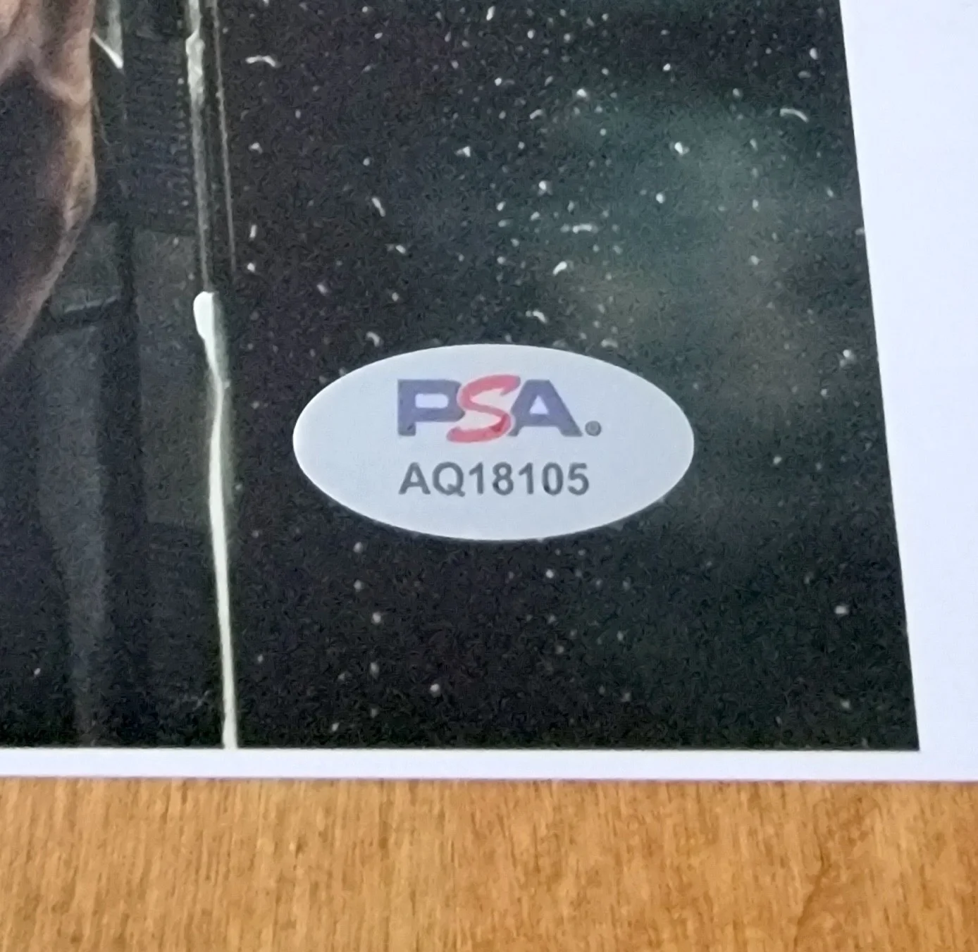 Colin Farrell, Cristin Milioti, Rhenzy Feliz, Lauren LeFranc — The Penguin cast 4x signed 11x14 photo PSA DNA Colin Farrell Cristin Milioti, изображение 2