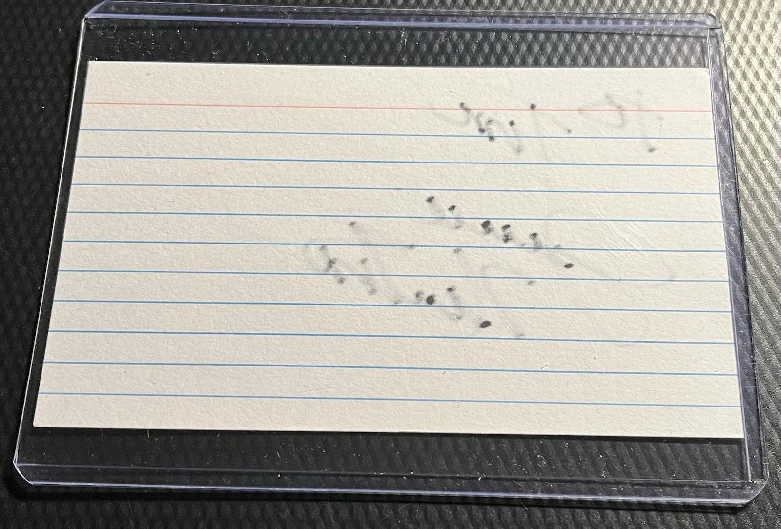 Juice Newton Country & Pop Singer Signed Index Card Autograph w/ COA & Top Load, изображение 4