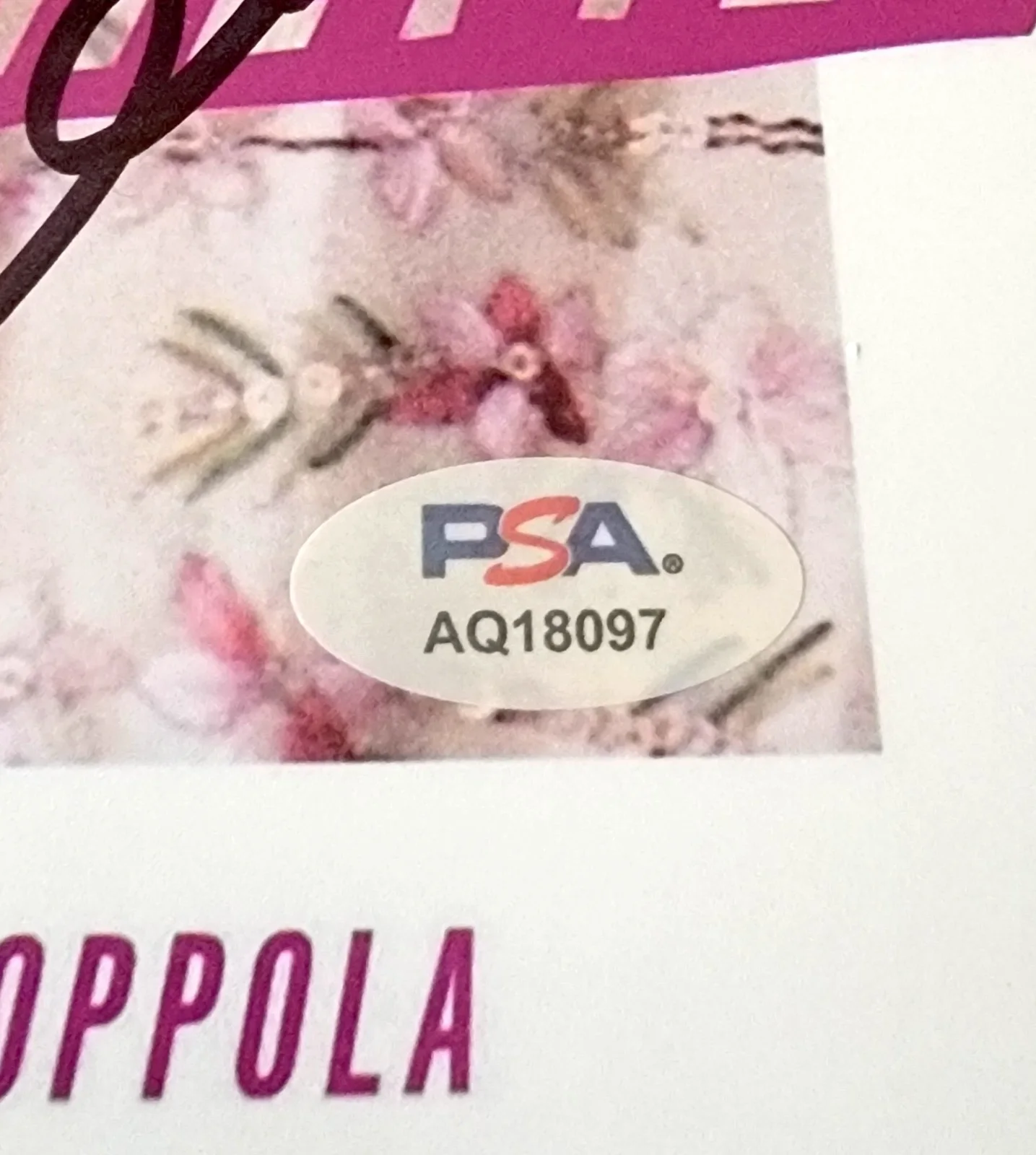 Sofia Coppola — Sofia Coppola signed 8x10 photo autograph PSA DNA Marie Antoinette Director, image 2