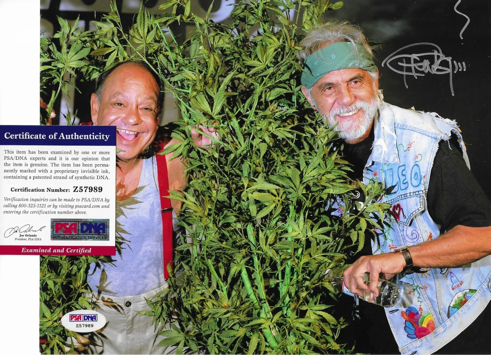 Tommy Chong — Tommy Chong PSA/DNA COA Signed 8x10 Photo Autographed Up in Smoke 89, image 2