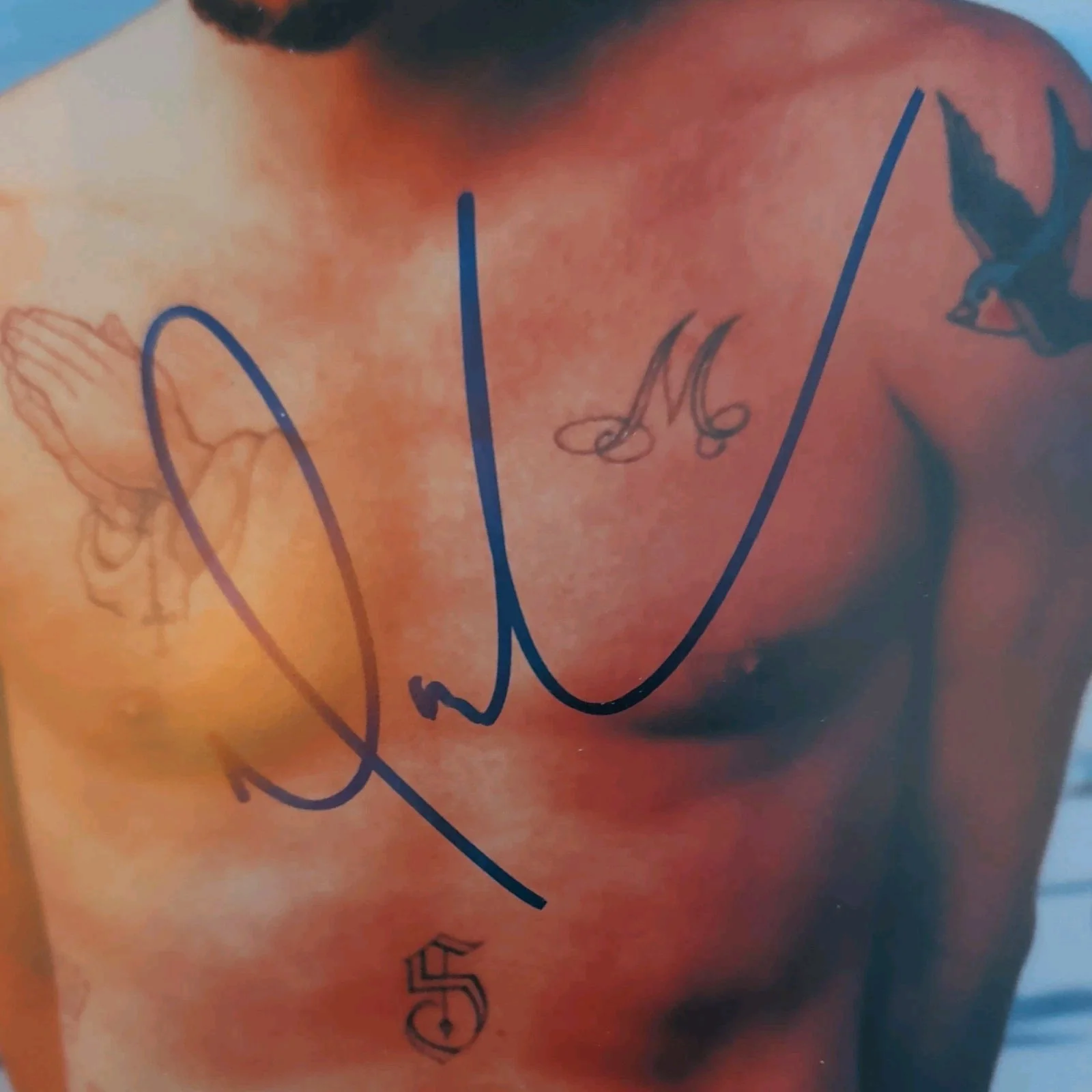 Mark McGrath (Sugar Ray) - Hand Signed 8 by 10 Color Photograph Shirtless w/COA, image 2