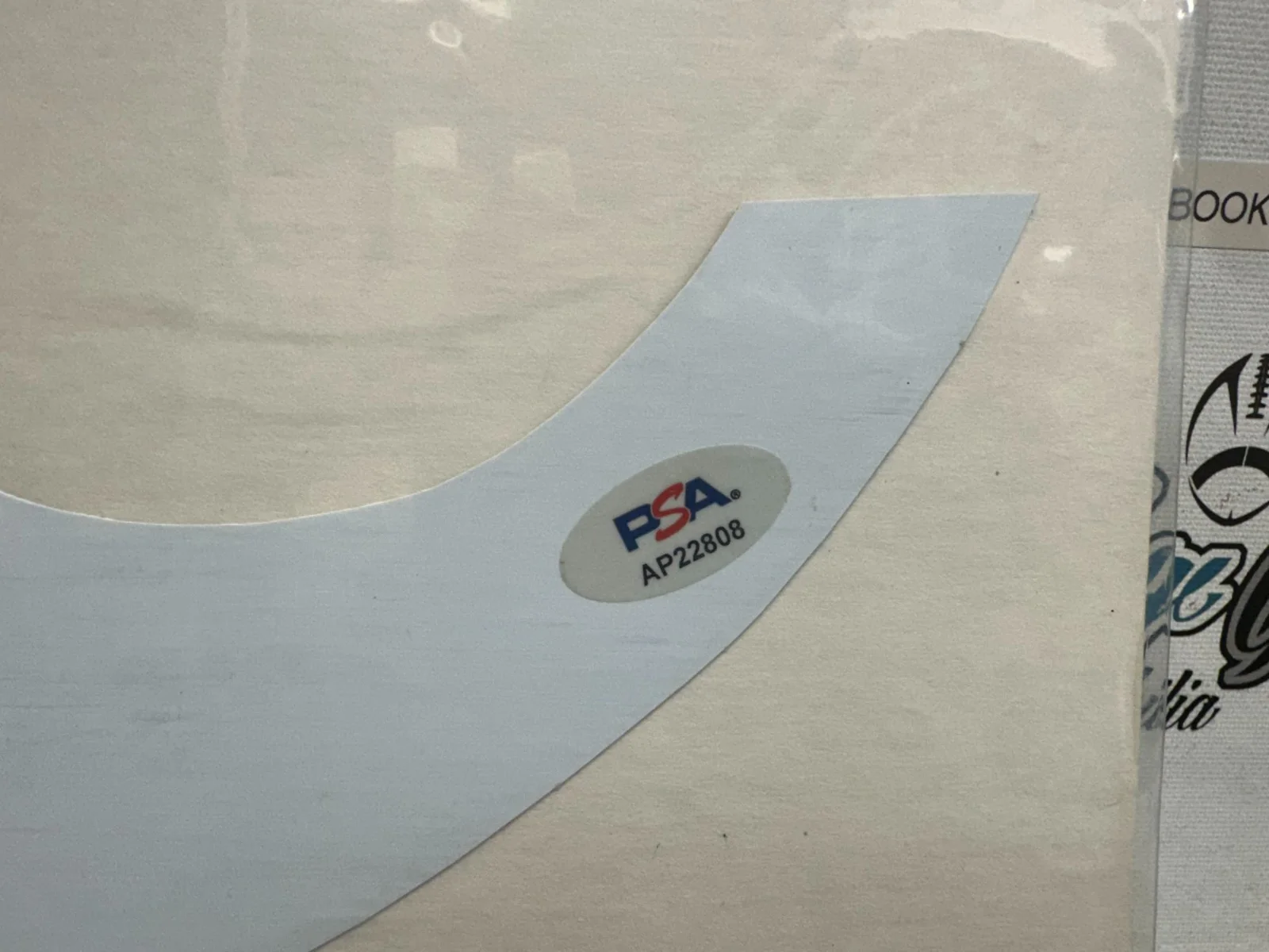 MARK HOPPUS BLINK 182 SIGNED AUTOGRAPHED TEARDROP GUITAR PICK GUARD-PSA COA, image 3
