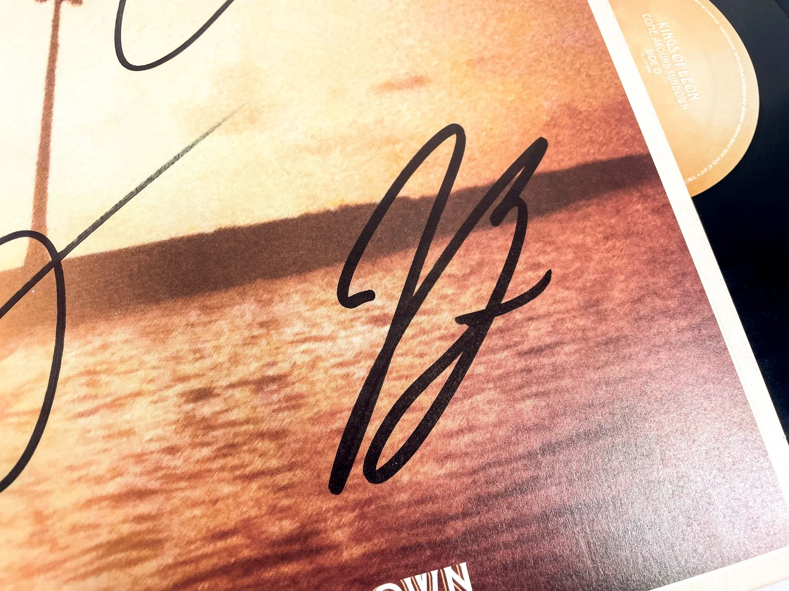 Kings of Leon FULL BAND Signed Autographed COME AROUND SUNDOWN Vinyl Album JSA B, изображение 5