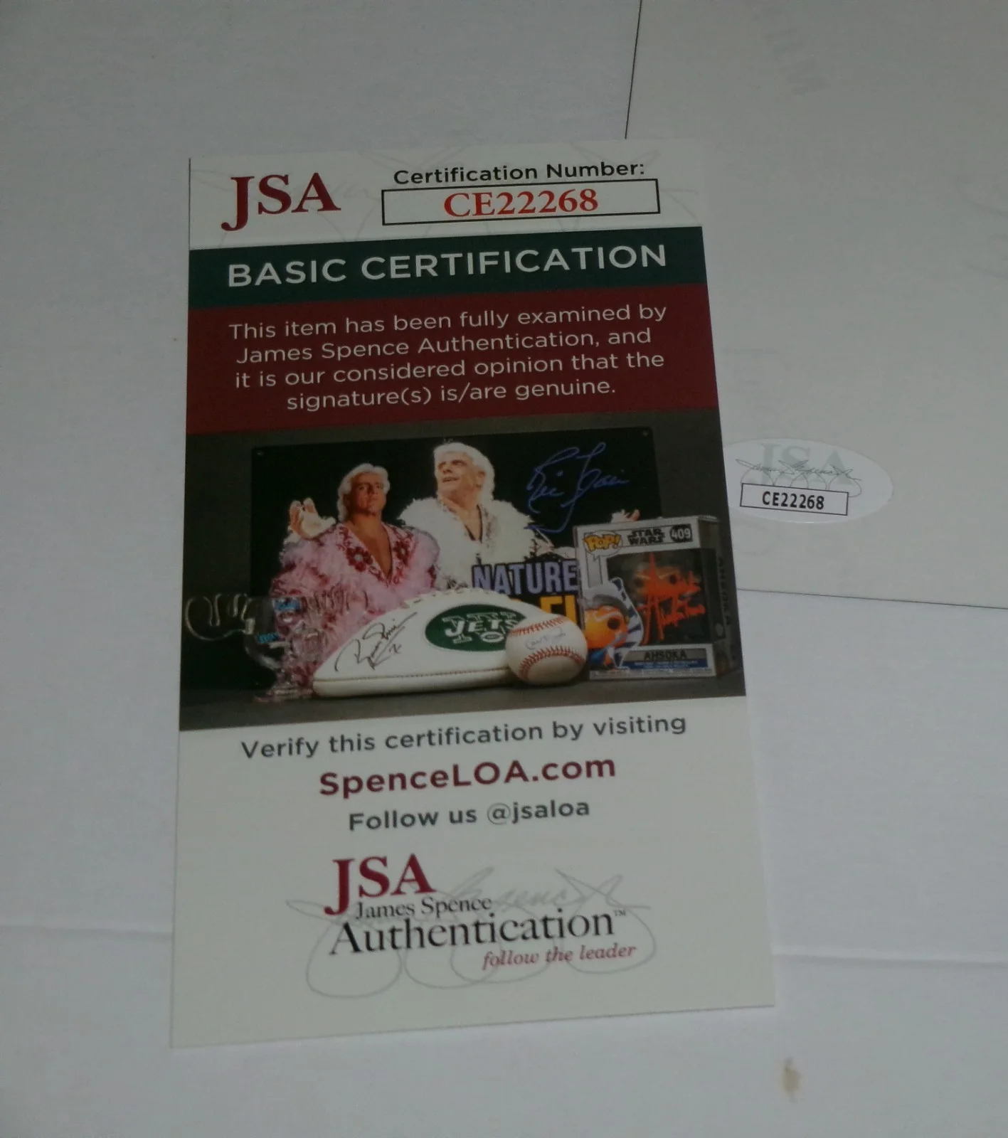 Nashville Pussy Ruyter Suys Signed 11X14 Color Photo JSA CERT, изображение 3