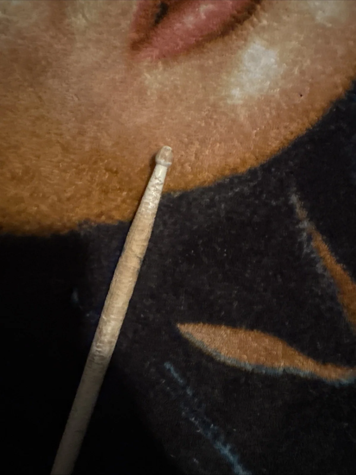 Dave Grohl Used Drumstick, image 3
