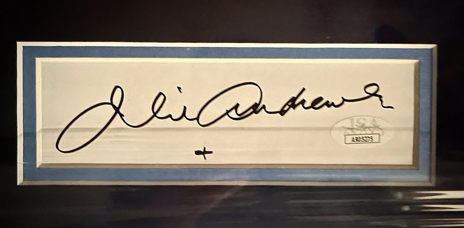 Julie Andrews Christopher Plumber — Julie Andrews Christopher Plumber JSA Sound Of Music Cast +7 childrenSigned 8x10, изображение 2