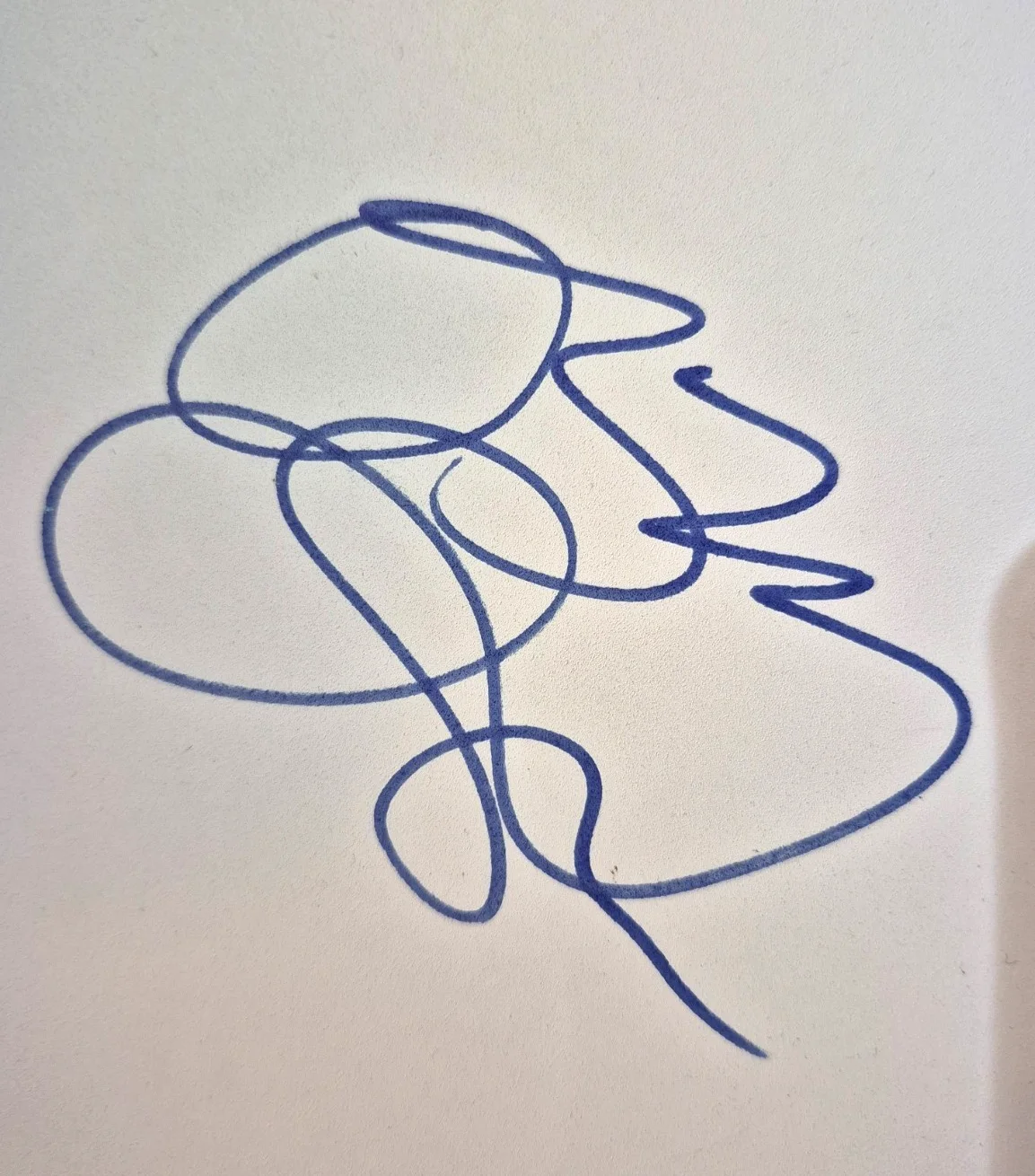 OZZY OSBOURNE SIGNED AUTOGRAPHED 12 INCH DRUMHEAD BLACK SABBATH RARE PSA COA, image 2