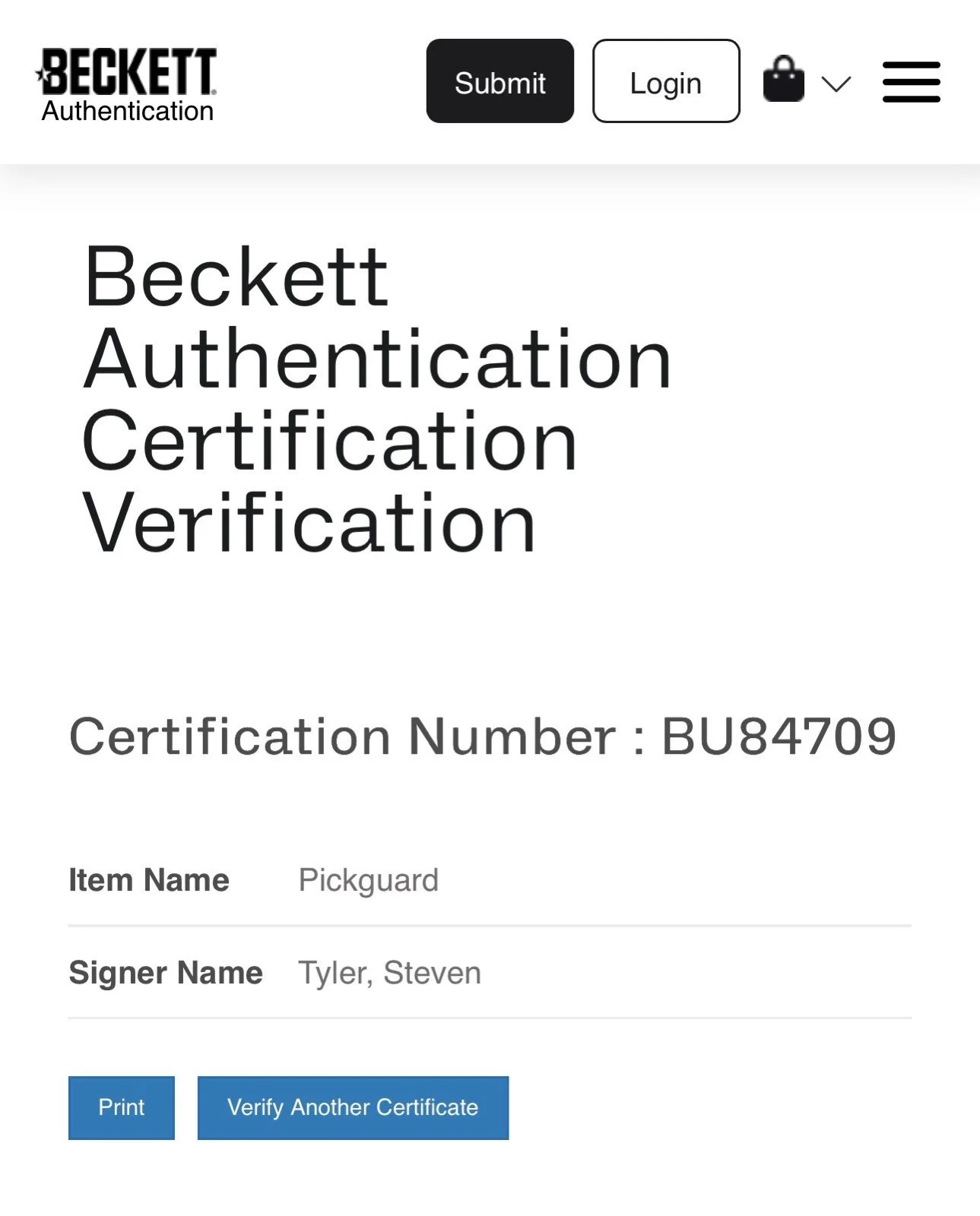 Steven Tyler Aerosmith Autograph Signed Stratocaster Pickguard with Beckett COA, изображение 5
