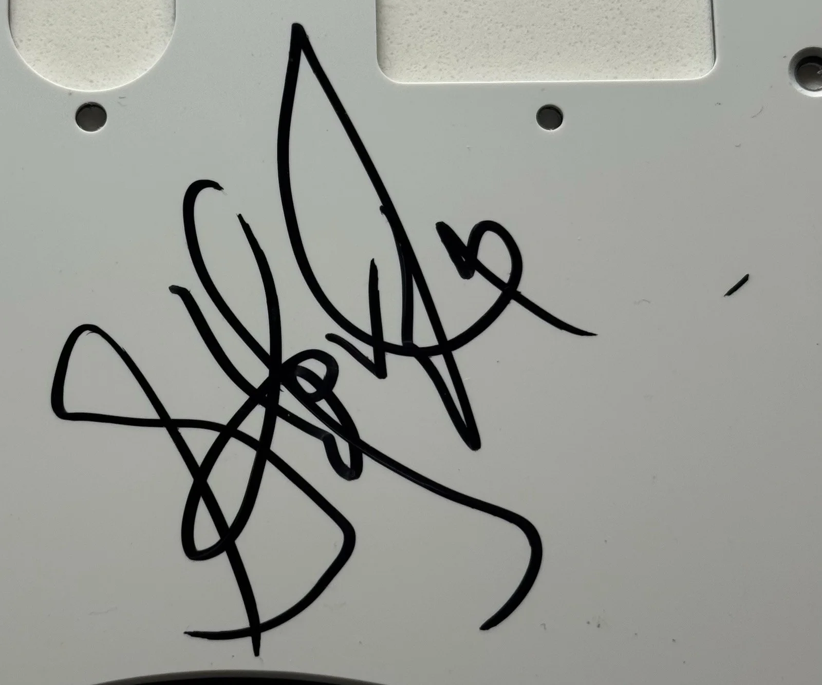 Steven Tyler Aerosmith Autograph Signed Stratocaster Pickguard with Beckett COA, изображение 3