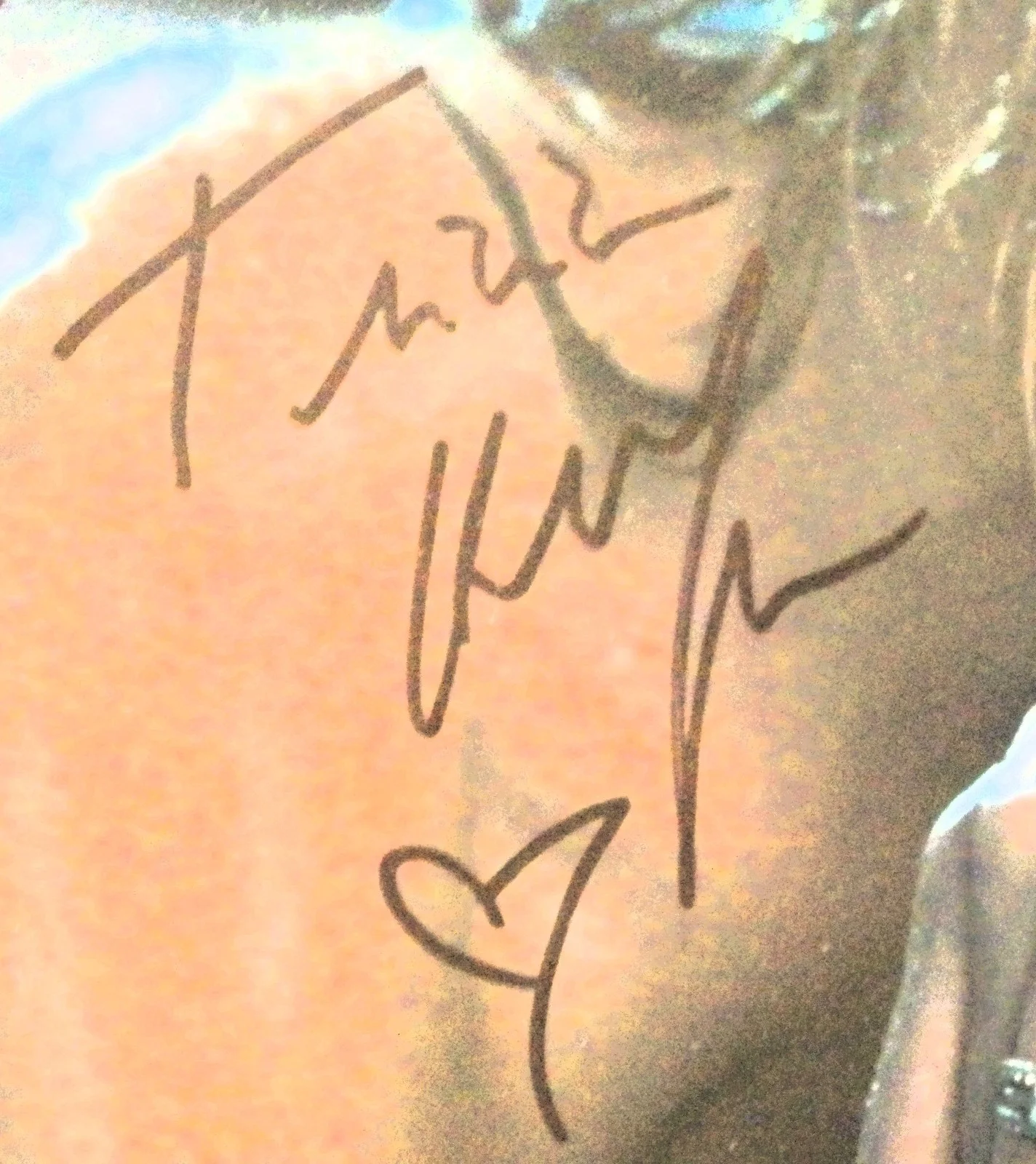 Tricia Helfer Sexy Signed Photo: Battlestar Galactica/Lucifer/Bombshell/Spiral, image 2