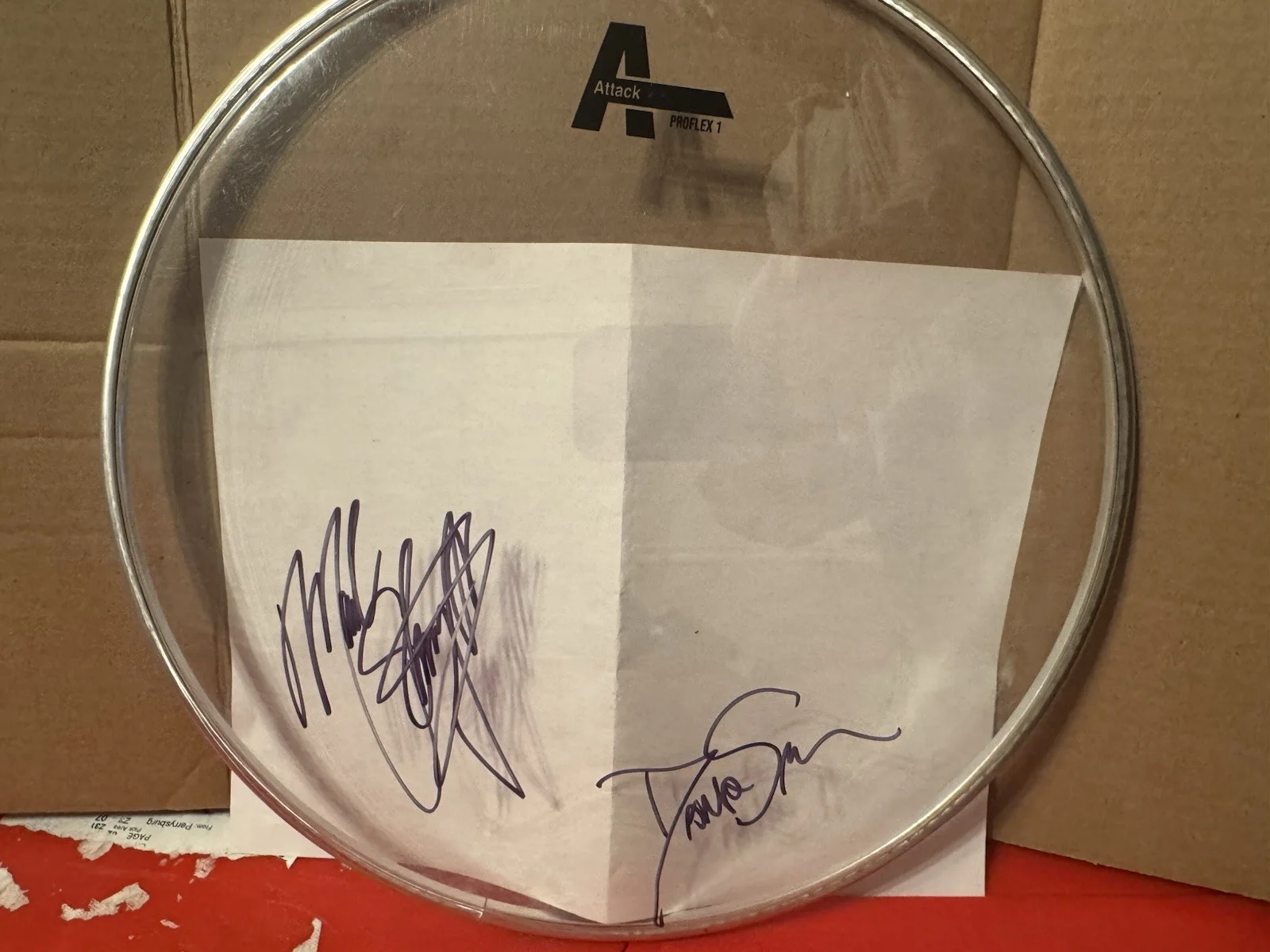Slaughter SIGNED AUTOGRAPHED 12 Inch Attack Drumhead Mark Dana Strum Rock Group, image 2