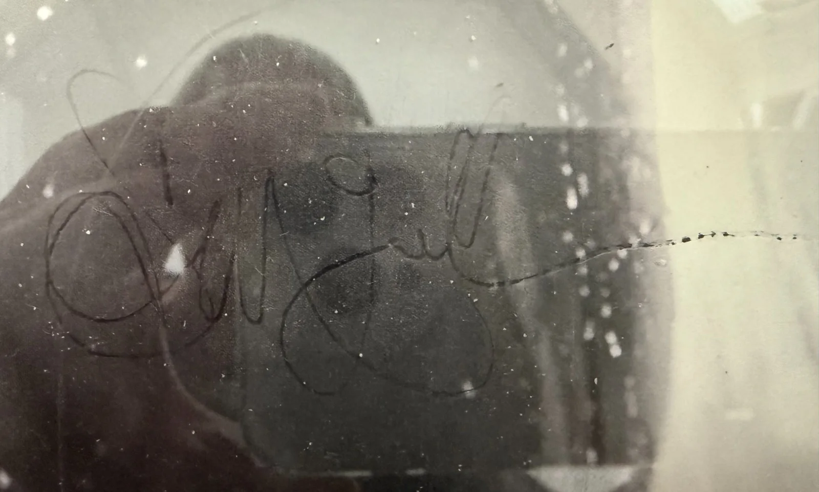 Sarah McLachlan autographed mini poster with Meet & Greet ticket 11.5x17 JSA COA, изображение 3