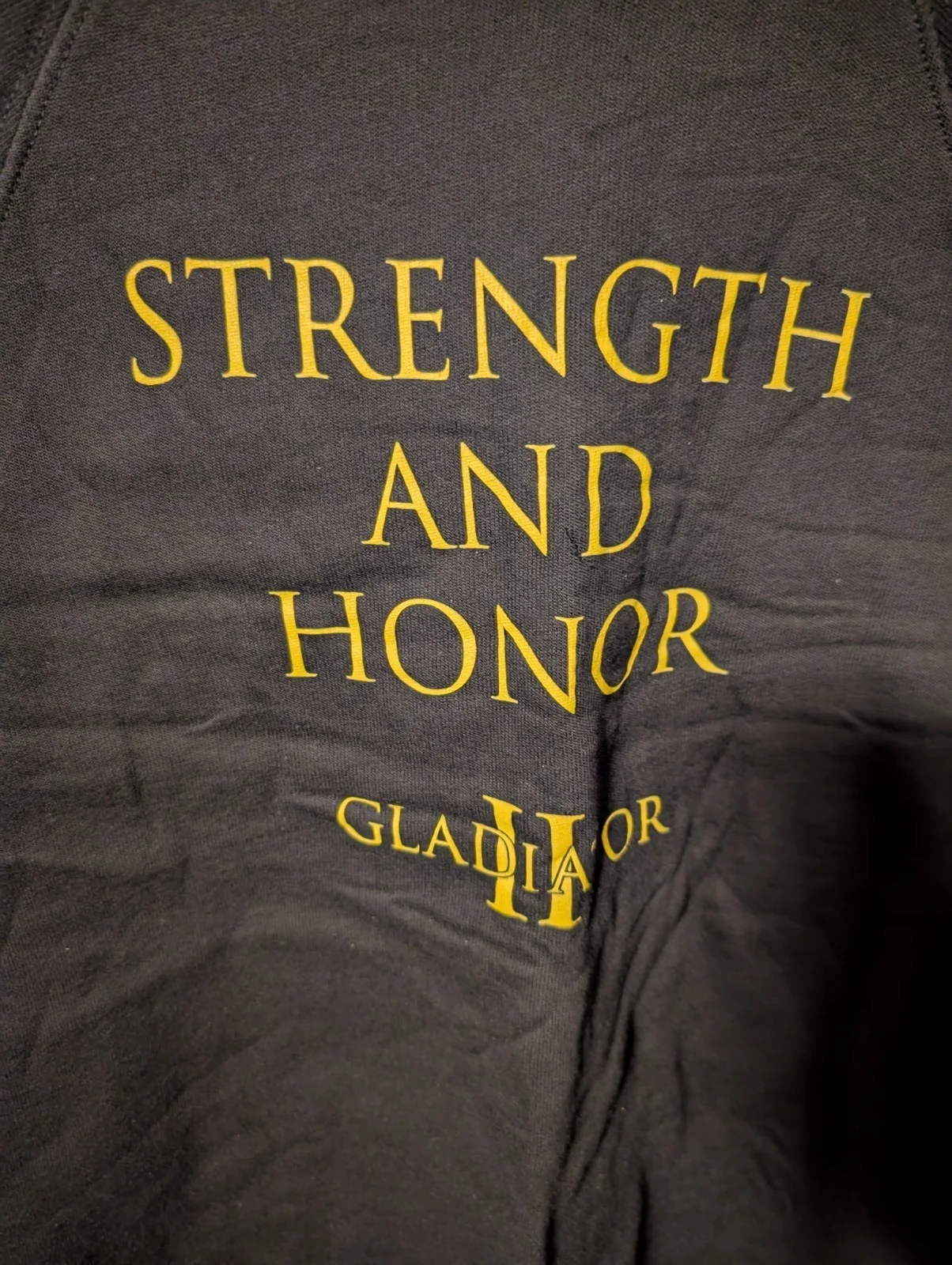 Gladiator 2 II Film Movie Promo Jumper NEW Large L Strength & Honour Paramount, изображение 2