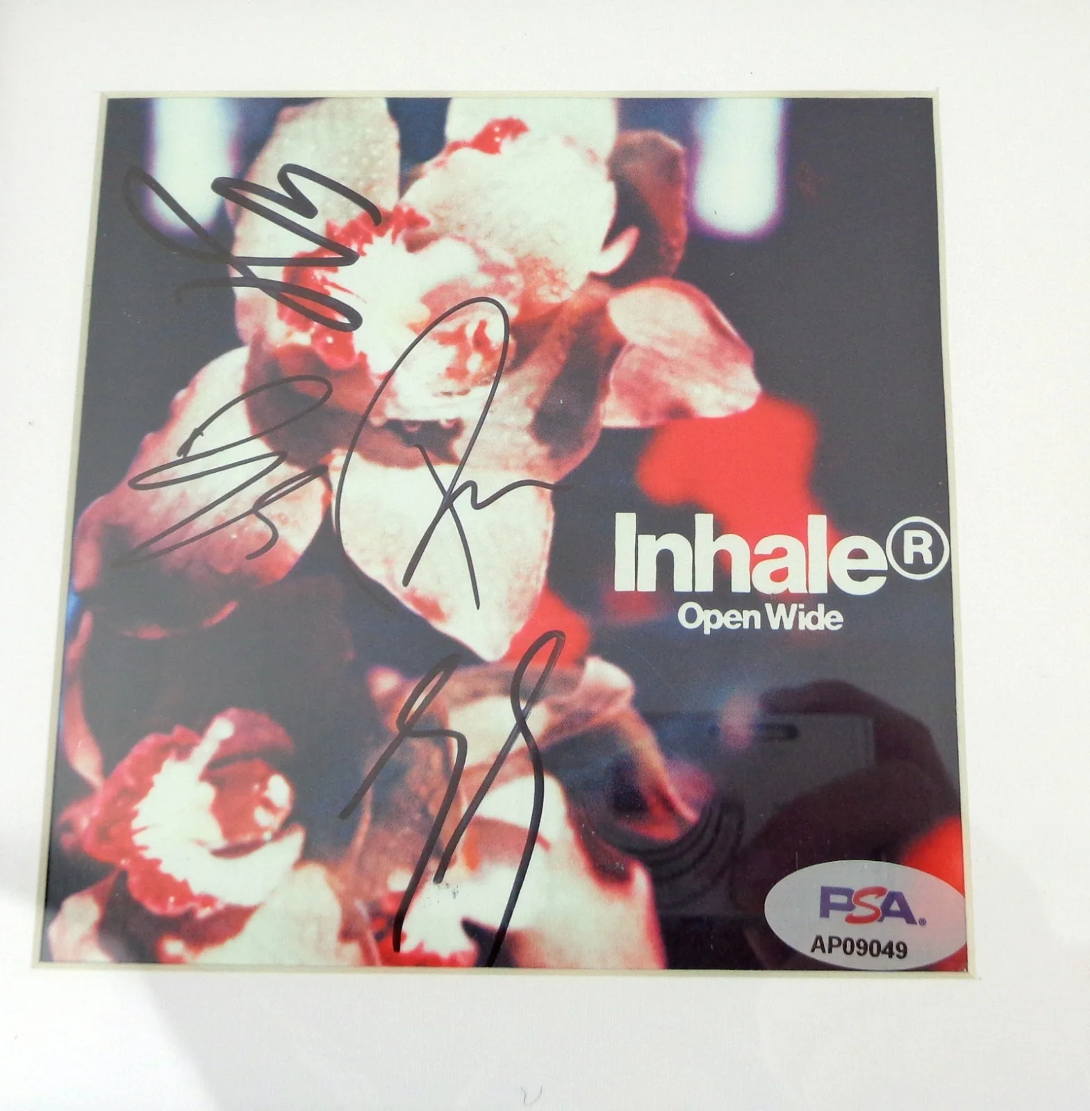 Inhaler Entire Band Signed Autograph Open Wide CD Framed PSA/DNA COA A, image 2