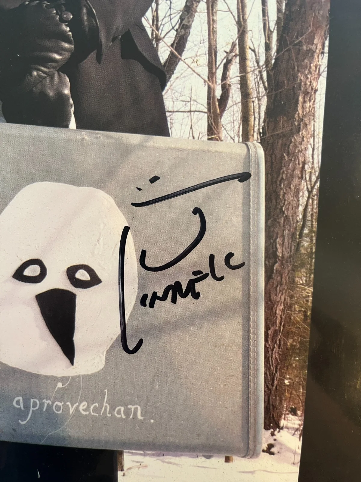 THEY MIGHT BE GIANTS - THE ELSE - FULLY SIGNED AUTOGRAPHED (Record LP Album), image 3