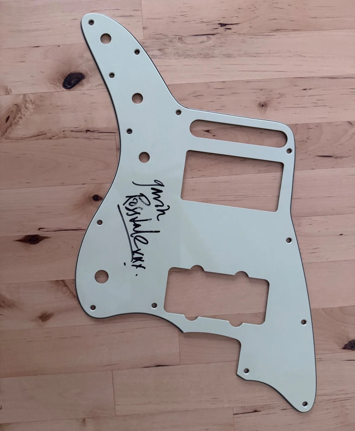 Bush *Gavin Rossdale* Signed Autographed Pick Guard (Fender Jazz Master), изображение 2