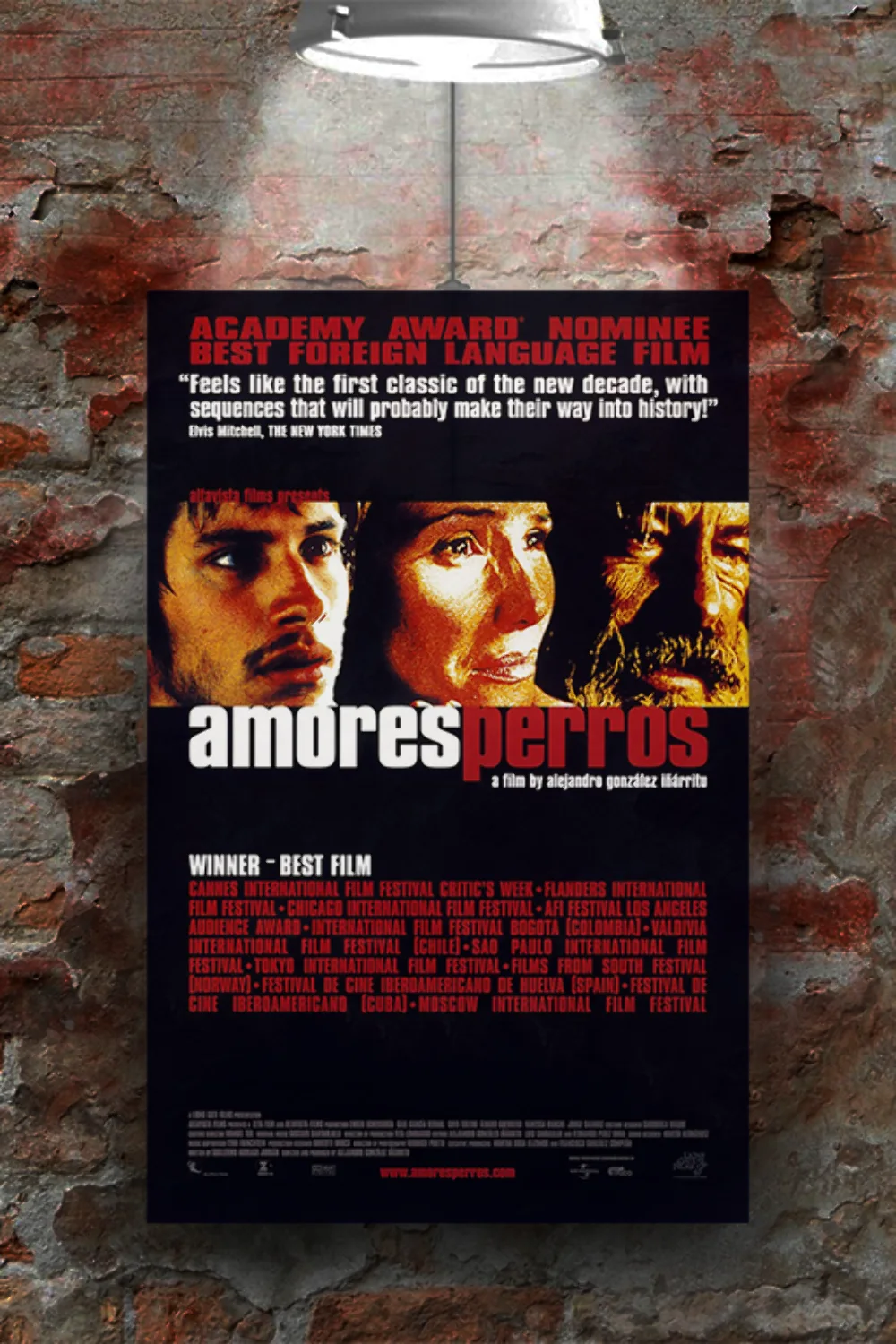 Amores perros Gael García Bernal Premium Gloss Poster | Film Memorabilia Art | M, изображение 2