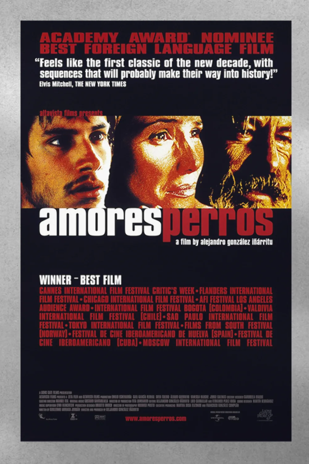 Amores perros Gael García Bernal Premium Gloss Poster | Film Memorabilia Art | M, изображение 3
