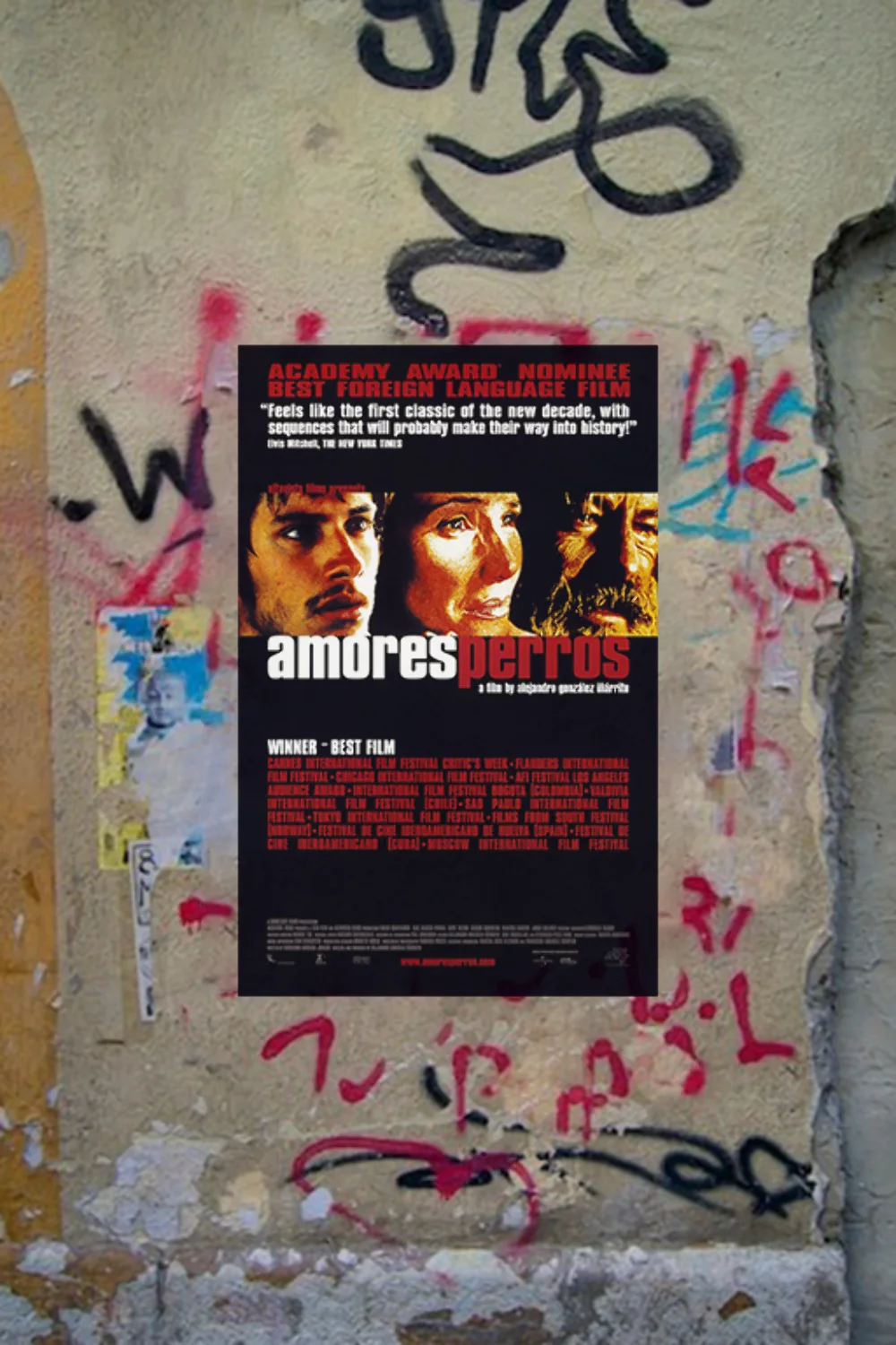 Amores perros Gael García Bernal Premium Gloss Poster | Film Memorabilia Art | M, изображение 4