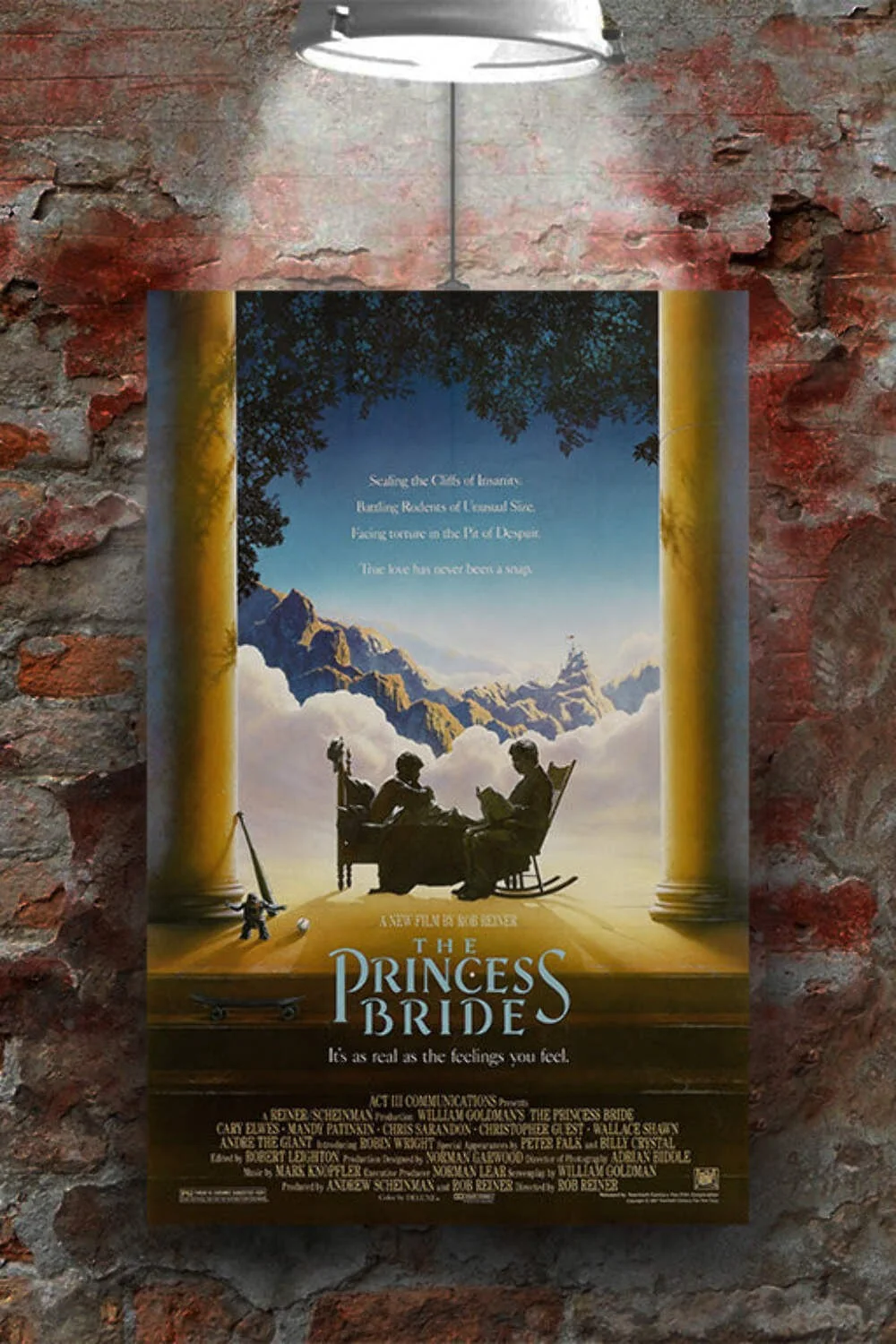 The Princess Bride Cary Elwes & Robin Wright Glossy Poster | Fantasy Movie Art P, изображение 2