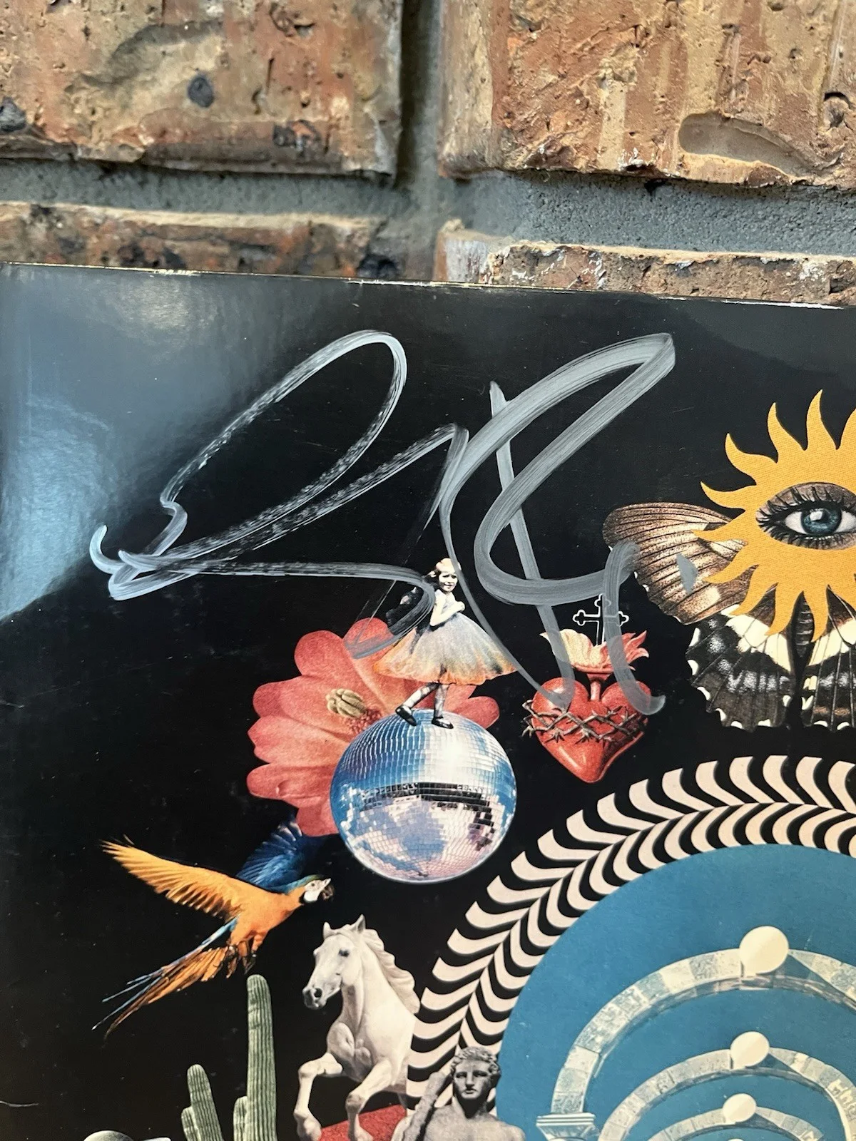 ONE REPUBLIC Artificial Paradise Signed by Band Vinyl Record Autographed, image 2