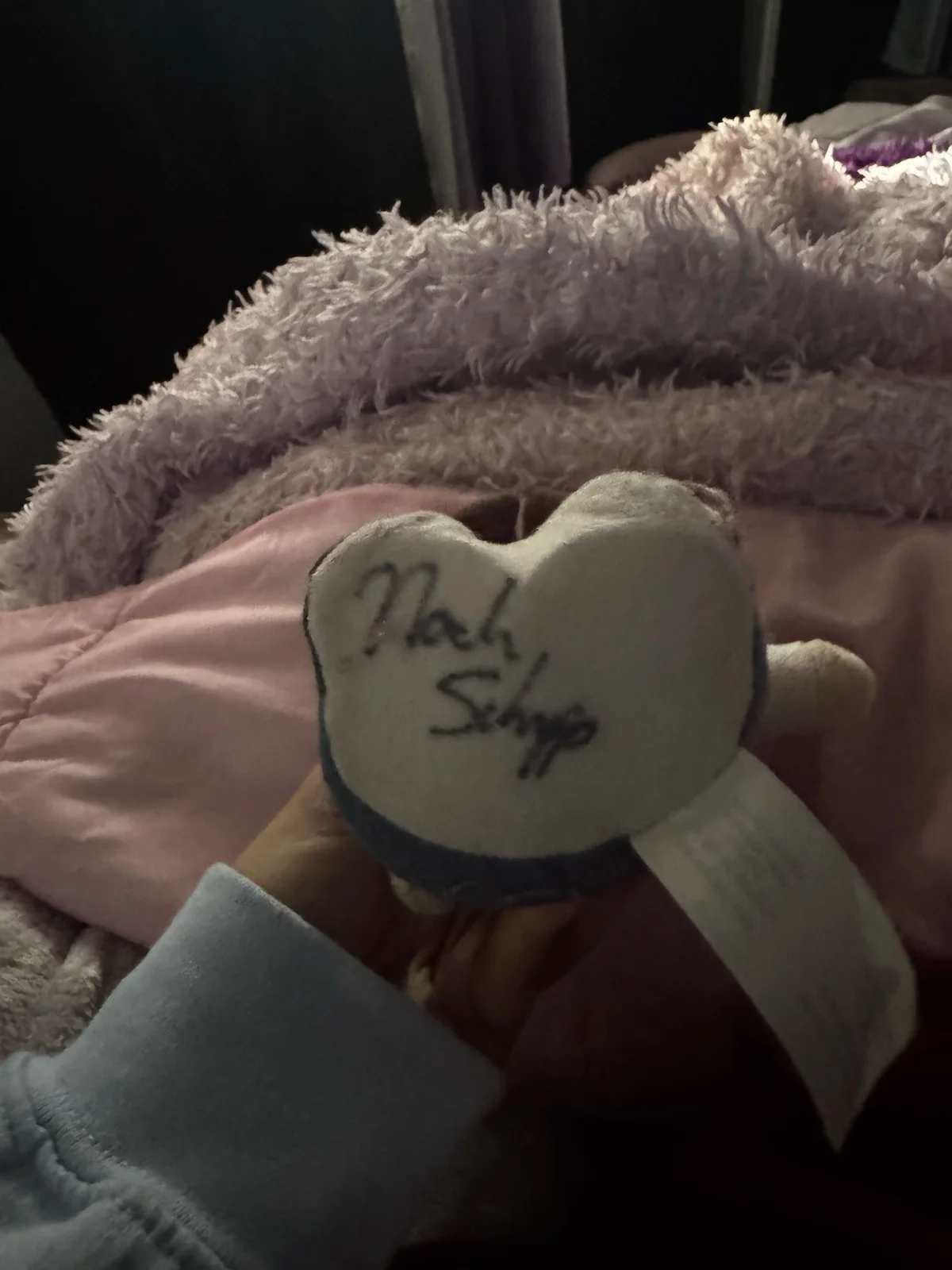 signed noah schnapp will byers plush, 2018, stranger things season 1 2 3 4 5, image 2