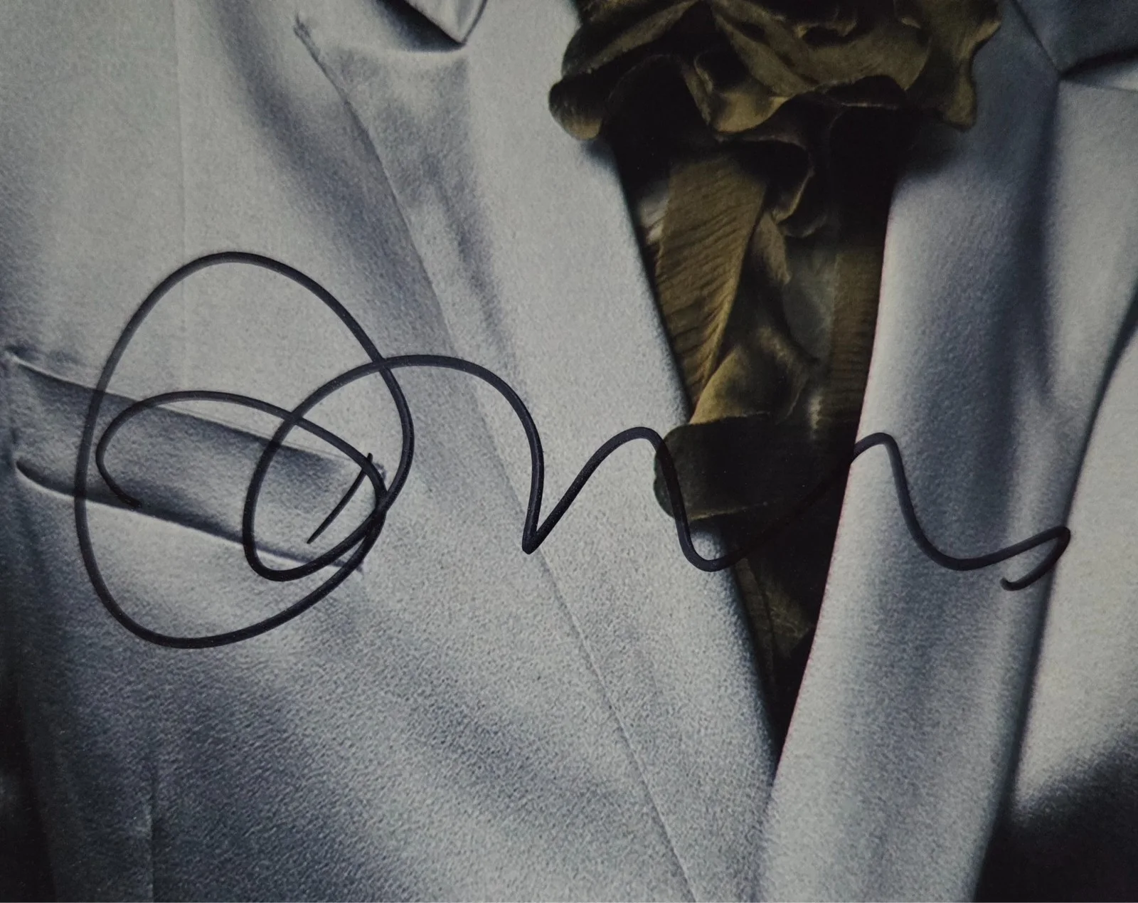Tilda Swinton Hand Signed Autograph 8x10 Photo In Person Proof Grand Budapest, изображение 2