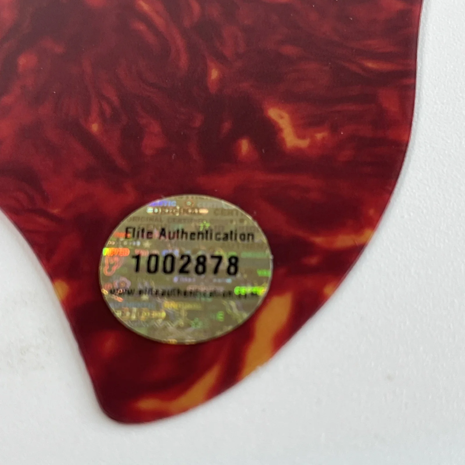 Dua Lipa Signed Guitar Pick Guard Pop Music Star Autographed w/COA Hologram, изображение 3