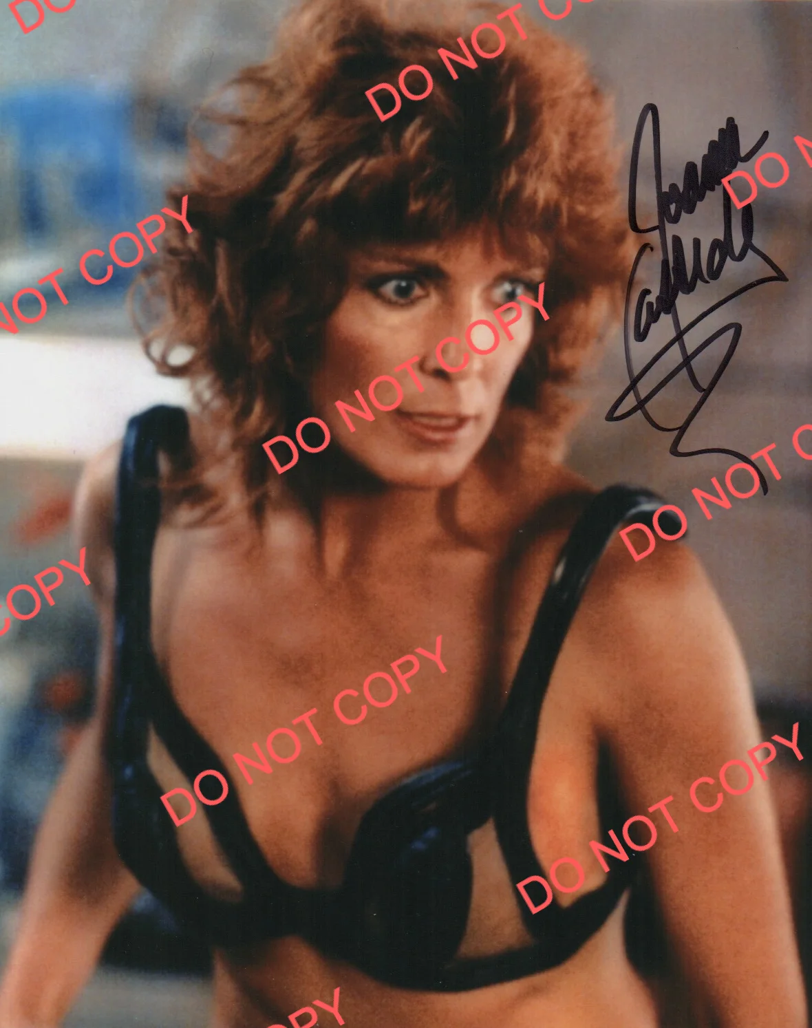 Joanna Cassidy — JOANNA CASSIDY signed BLADE RUNNER 8x10 photo AUTOGRAPH ACOA cert SEXY SHOT Ford