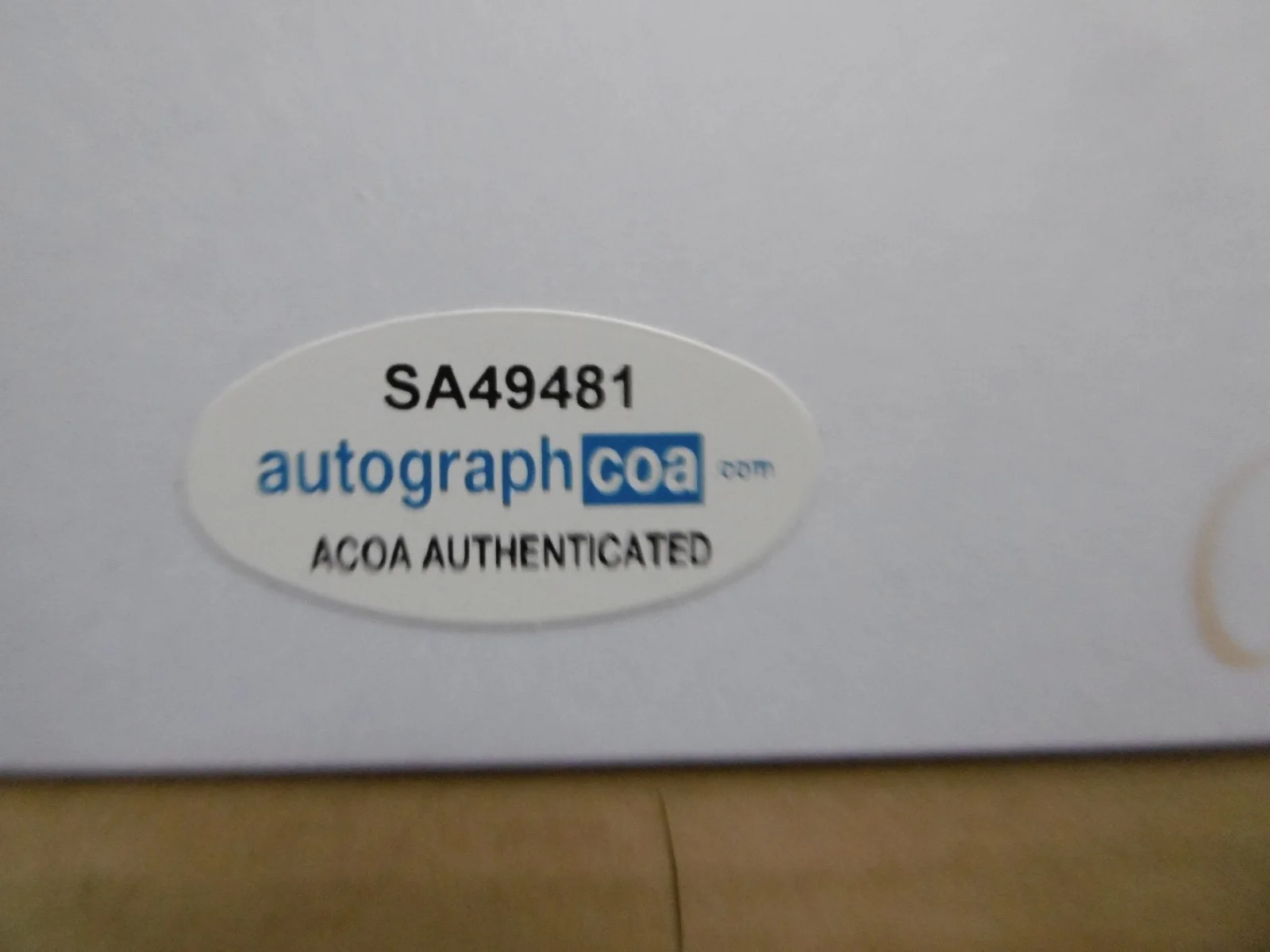 Angus Young "AC/DC" signed 8x12 inch photo autograph ACOA, image 3