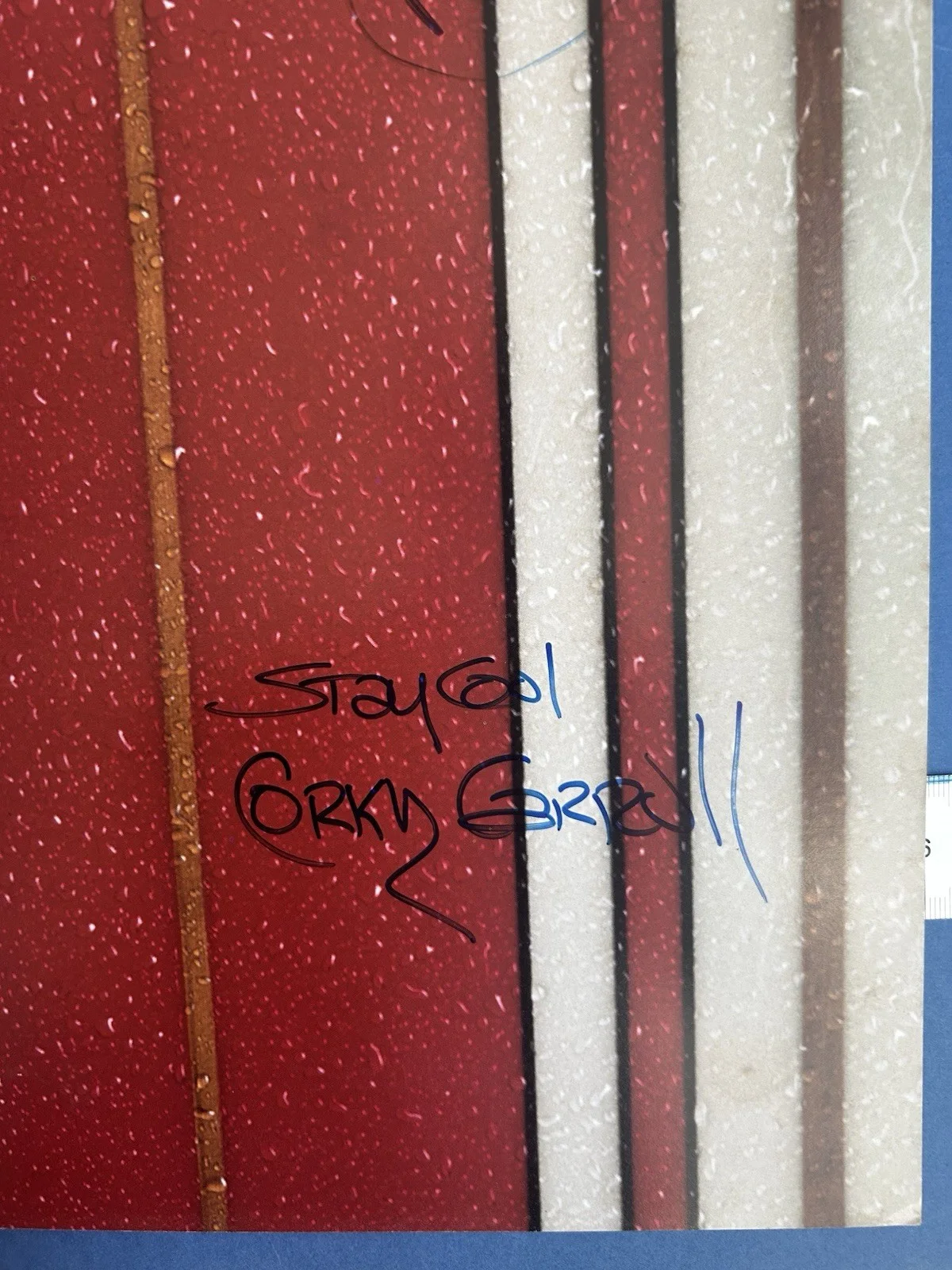 【Poster +Signed】1992・Rhino Records Promo・kawabunga・30cm x 60cm, image 2