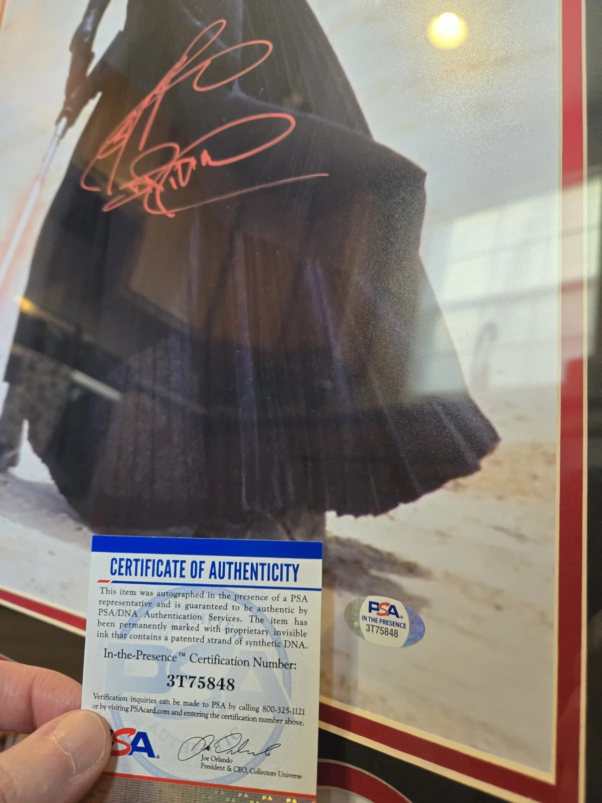 Ray Park — Darth Maul / Ray Park Signed And Framed Photo With"Darth Maul" Inscription 24×28, image 3