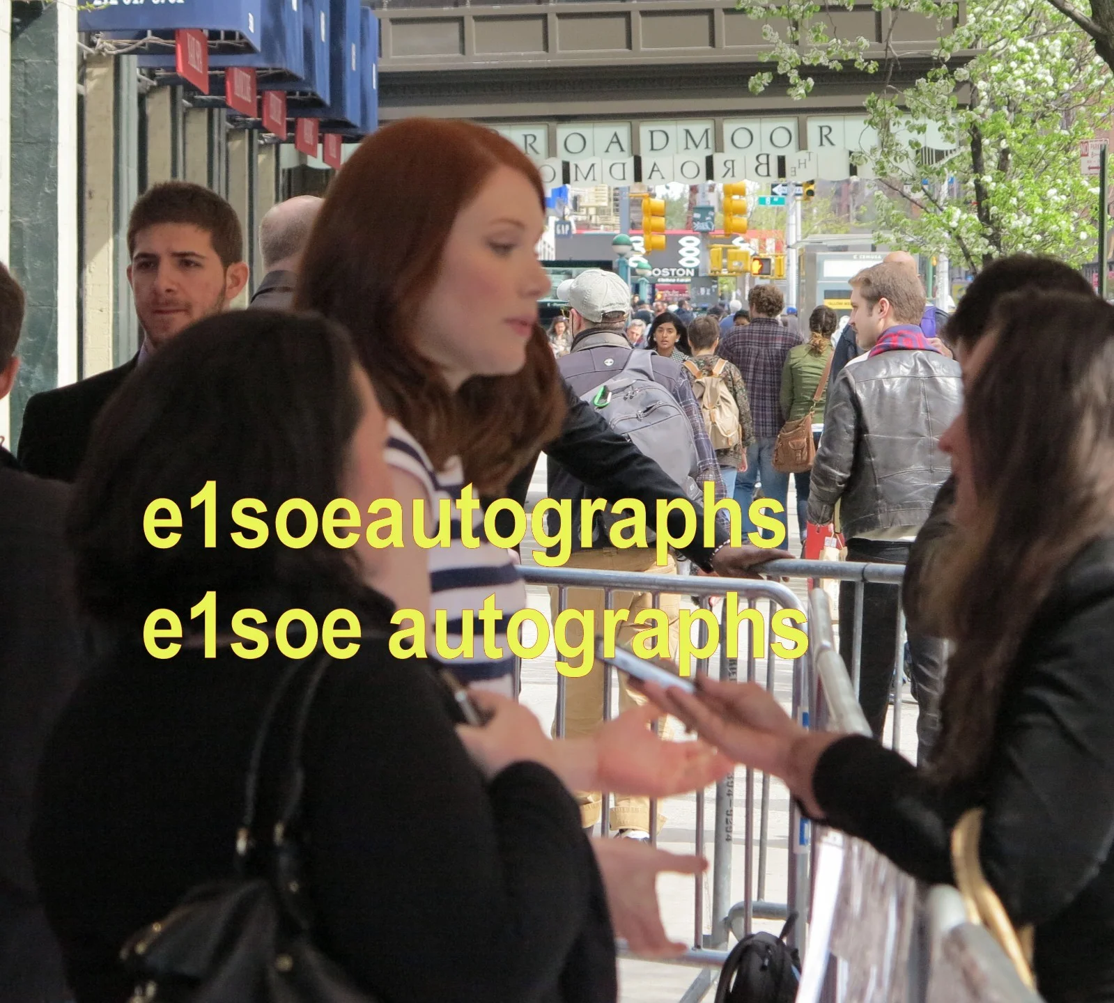 bryce dallas howard — Bryce Dallas Howard signed 8x10 photo - Proof - Jurassic World, Terminator, изображение 2