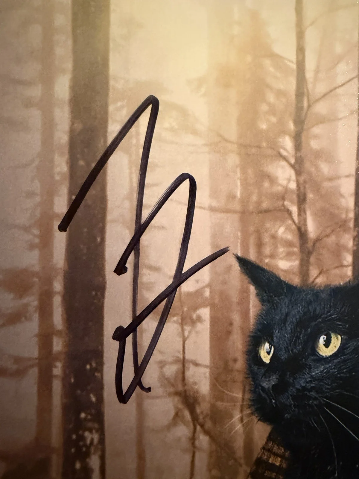 Kiernan Shipka — KIERNAN SHIKPA SIGNED 8x10 AUTOGRAPH SEXY SABRINA PHOTO BECKETT HOLO BV18499, изображение 2